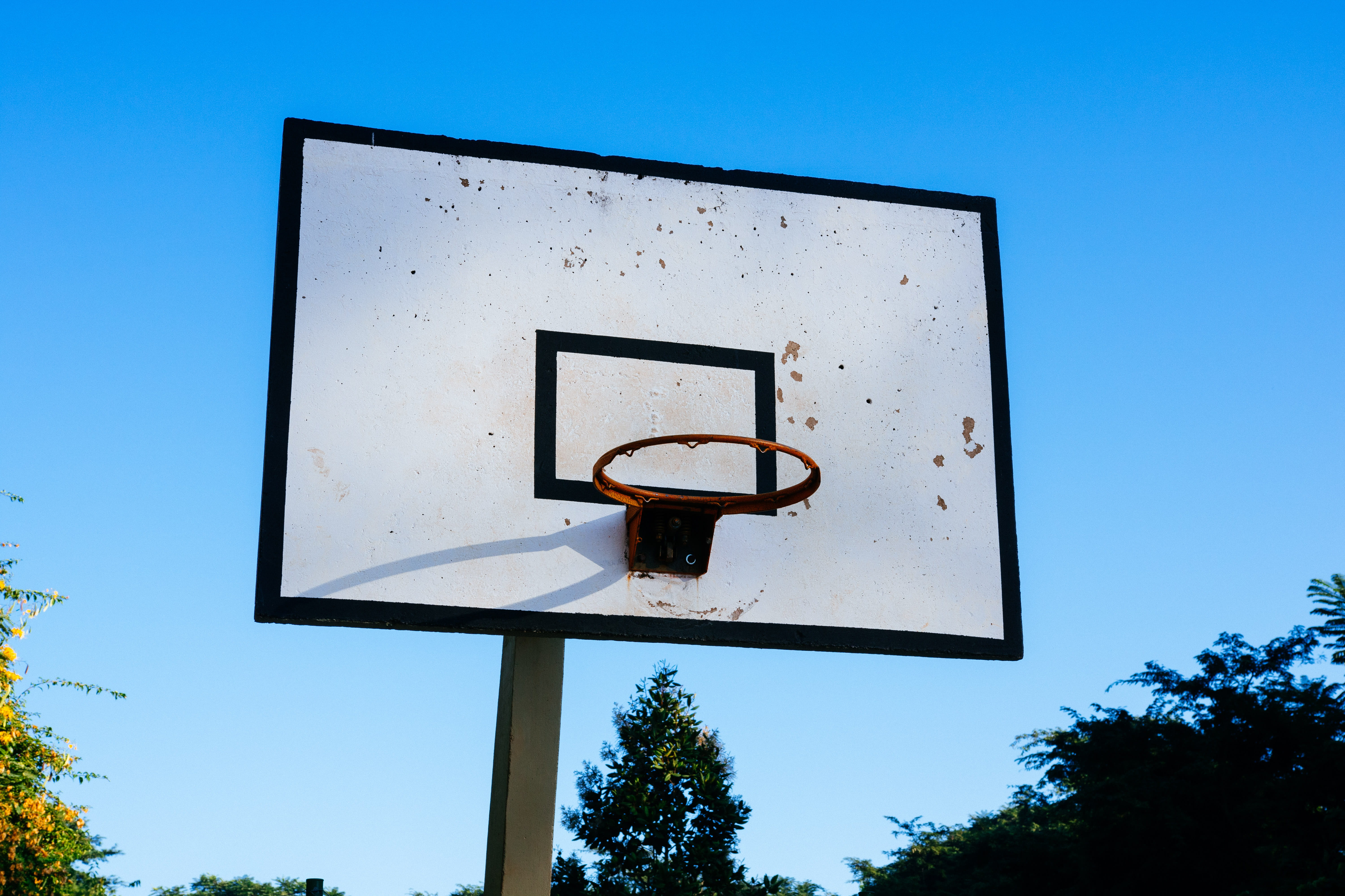 hoop, nature, clear sky, basketball, copy space, no people, outdoors, plant, 5K, white, ball, sky, sunlight, sunny, basketball ring, leisure games, shape, HD Wallpaper