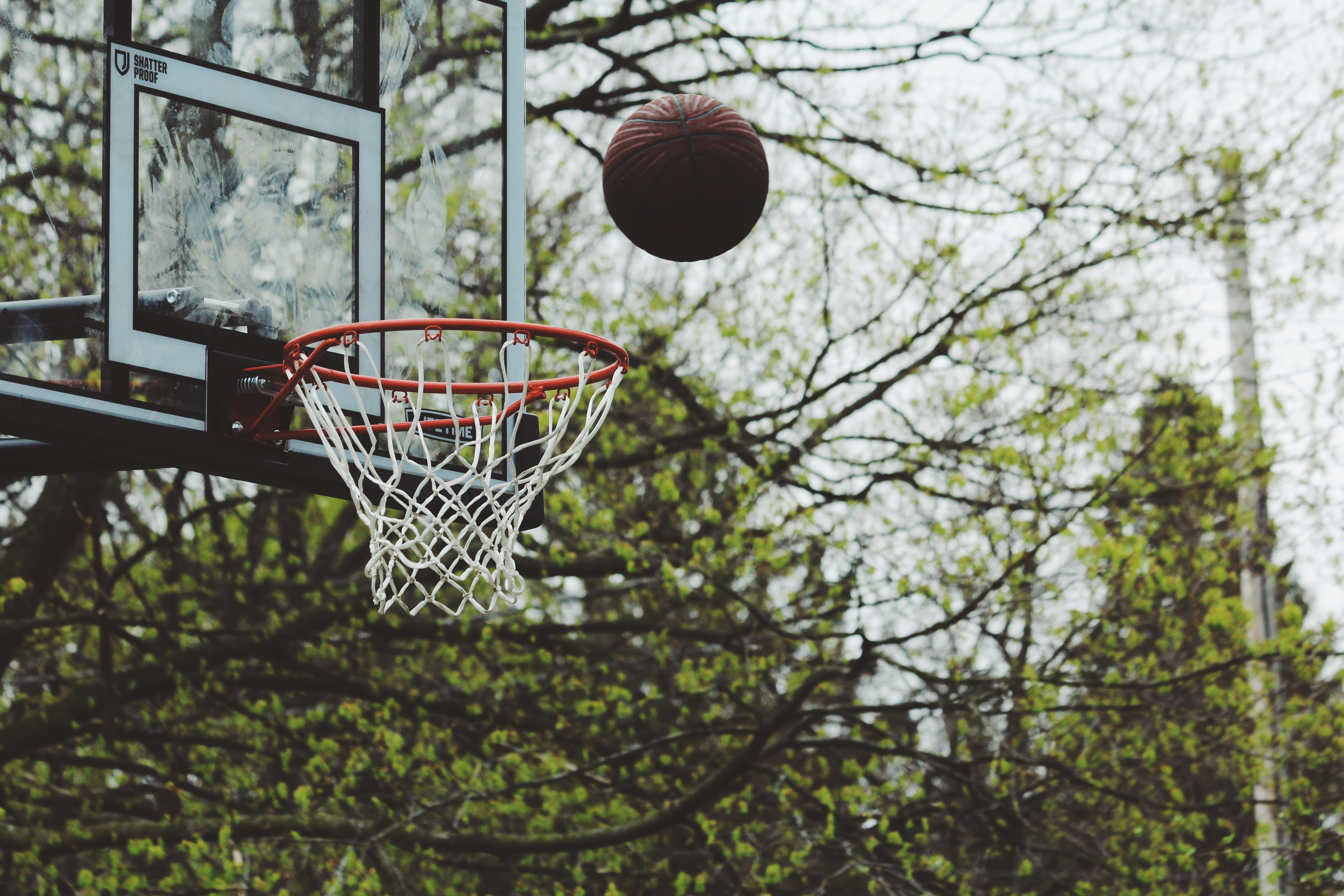 outdoors, playground, hoop, goal, high, (sports), backboard, gameplan, field, web, recreation, leisure, game, trees, dunk, squad, sports, 5K, basket, ball, HD Wallpaper