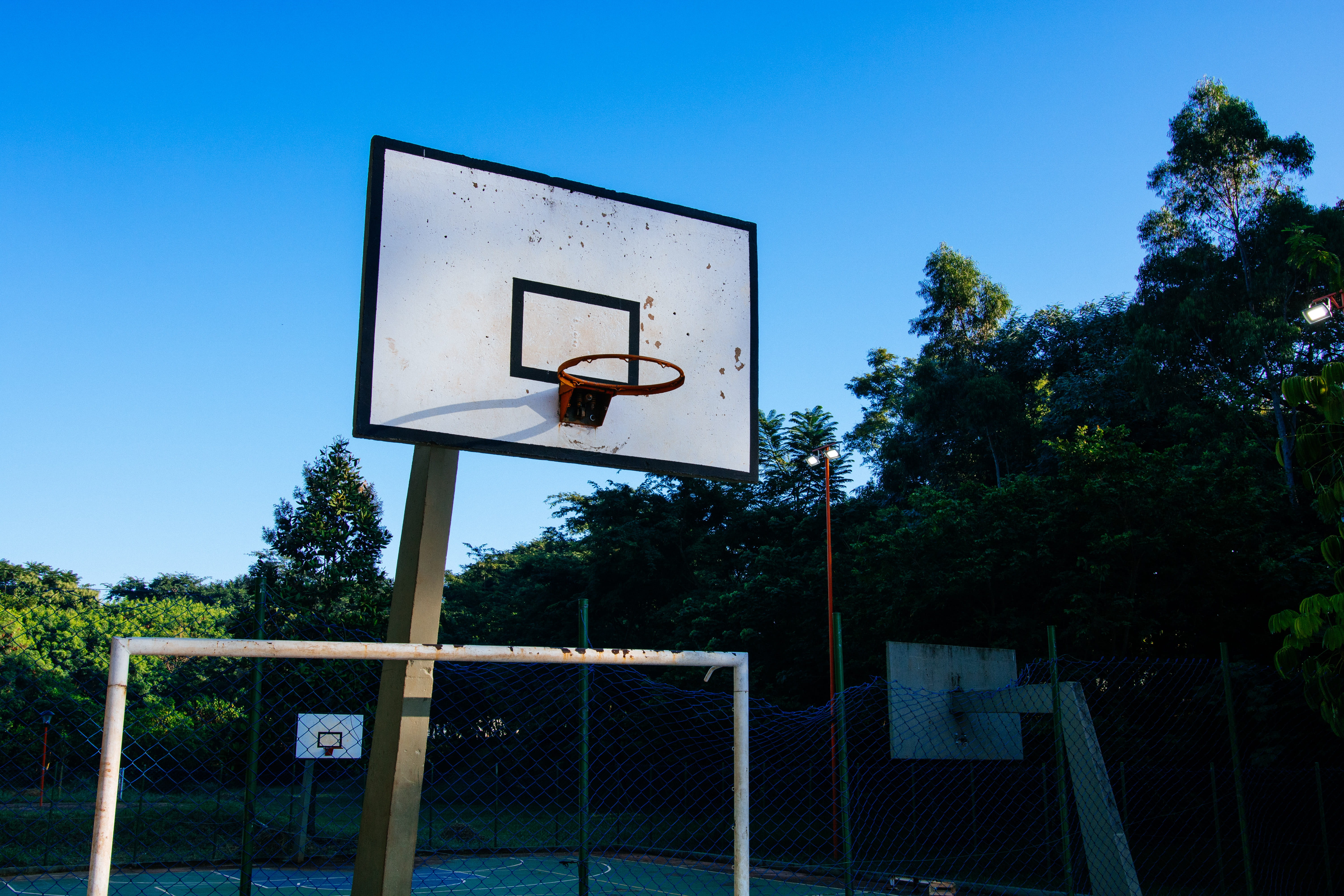 sky, clear sky, basketball - sport, sport, basketball ring, day, low angle view, plant, Basketball Hoop, outdoors, tree, blue, nature, backboard, basketball, HD Wallpaper