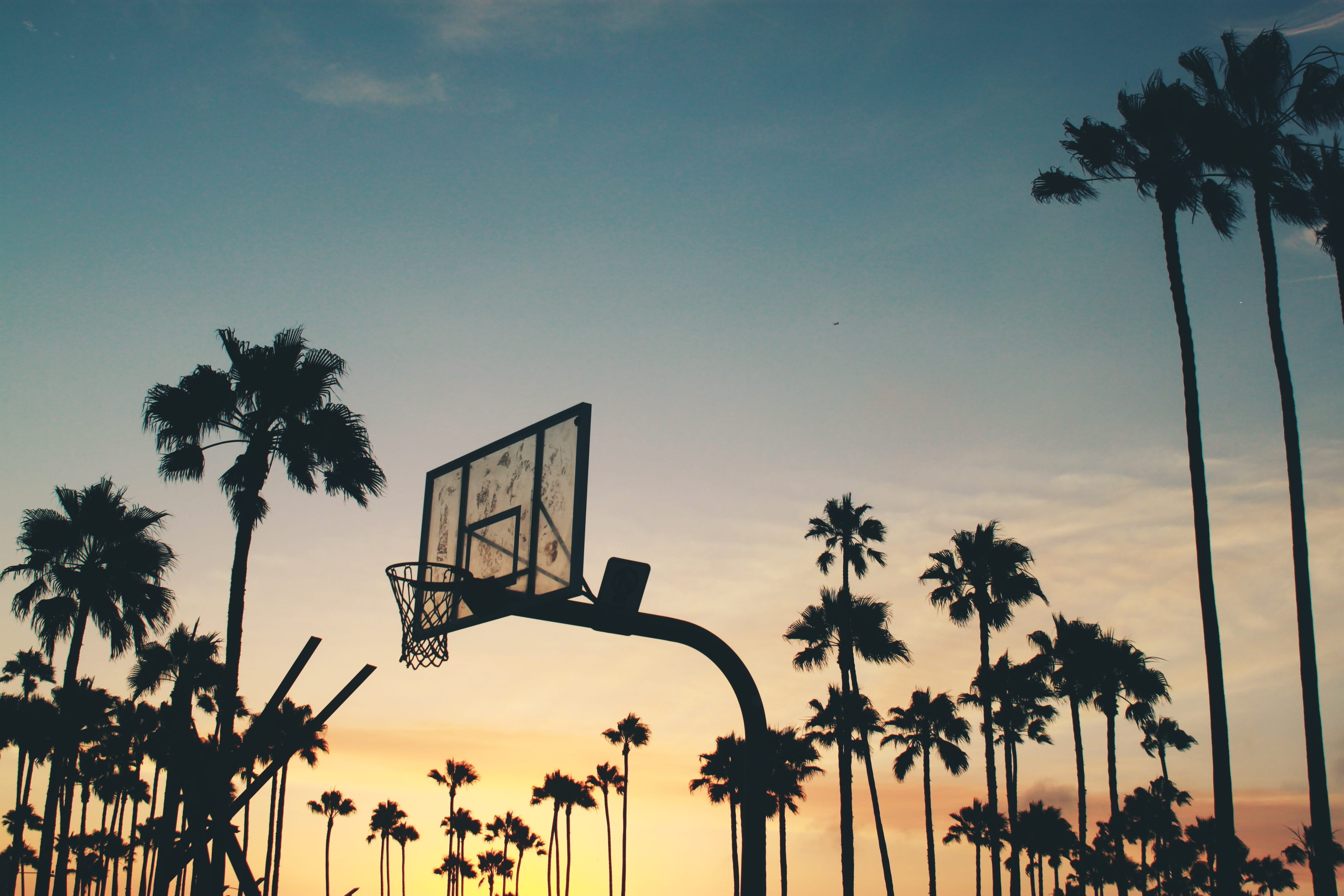 sky, tropical, backlit, silhouettes, idyllic, dusk, tree, nature, basketball - sport, court, low angle view, sport, palm tree, front or back yard, orange color, HD Wallpaper