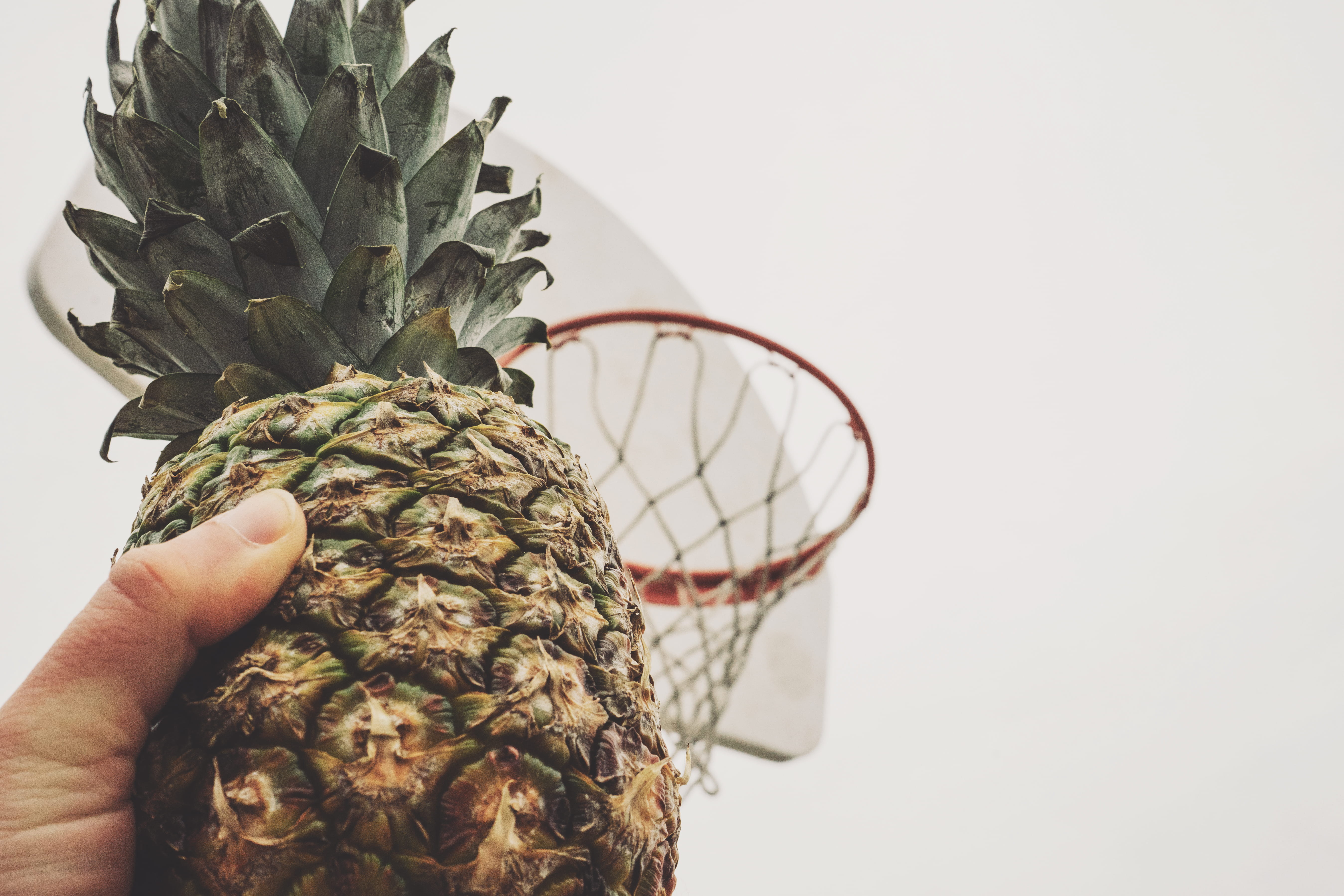 net, backketball, white background, lifestyles, fruit, nature, human body part, pineapple, plant, real people, plant part, growth, hoop, copy space, close-up, HD Wallpaper