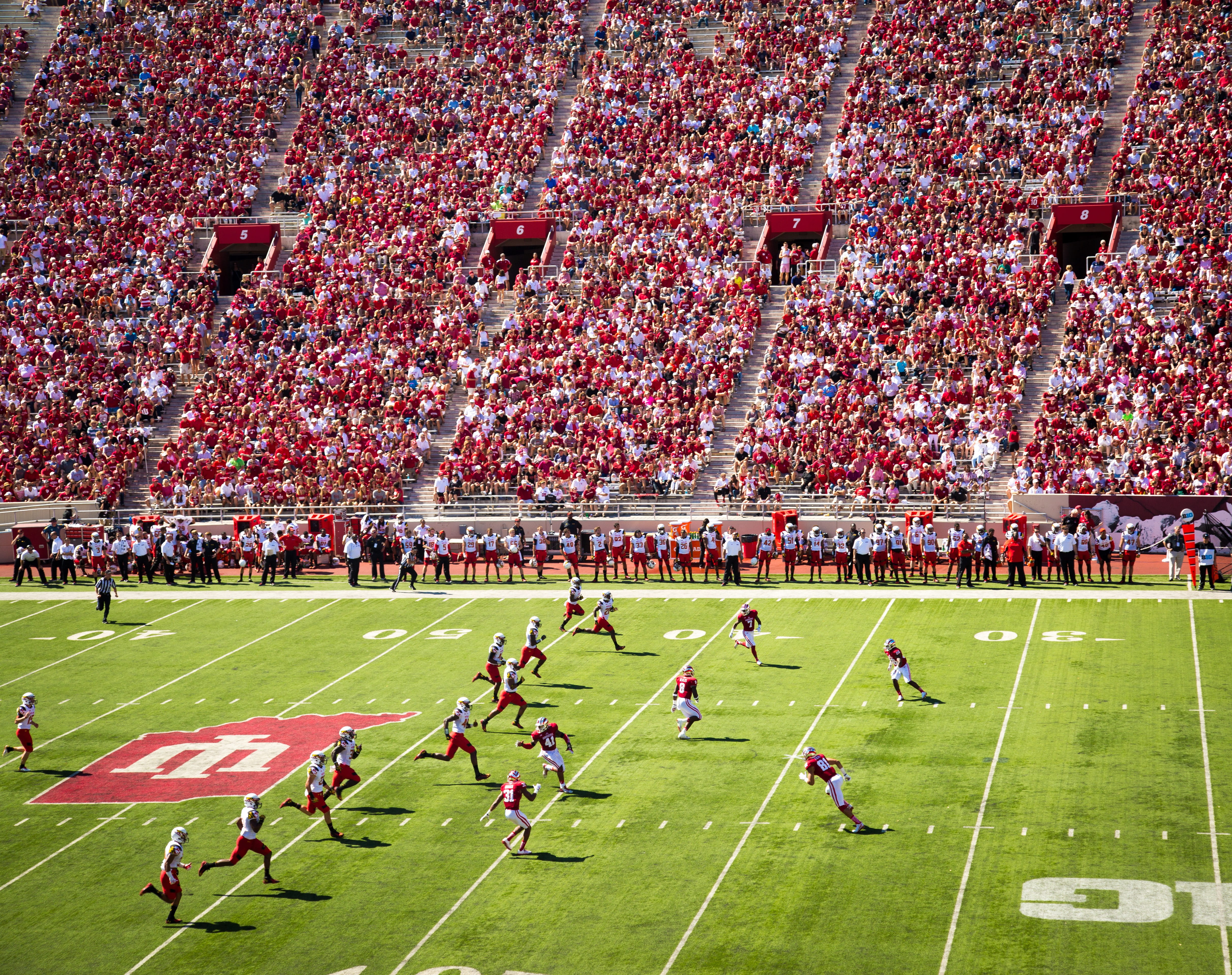 american, plant, black, athlete, nature, man, college, helmet, lifestyles, touchdown, athletics, group of people, sports team, playing, soccer field, men, HD Wallpaper