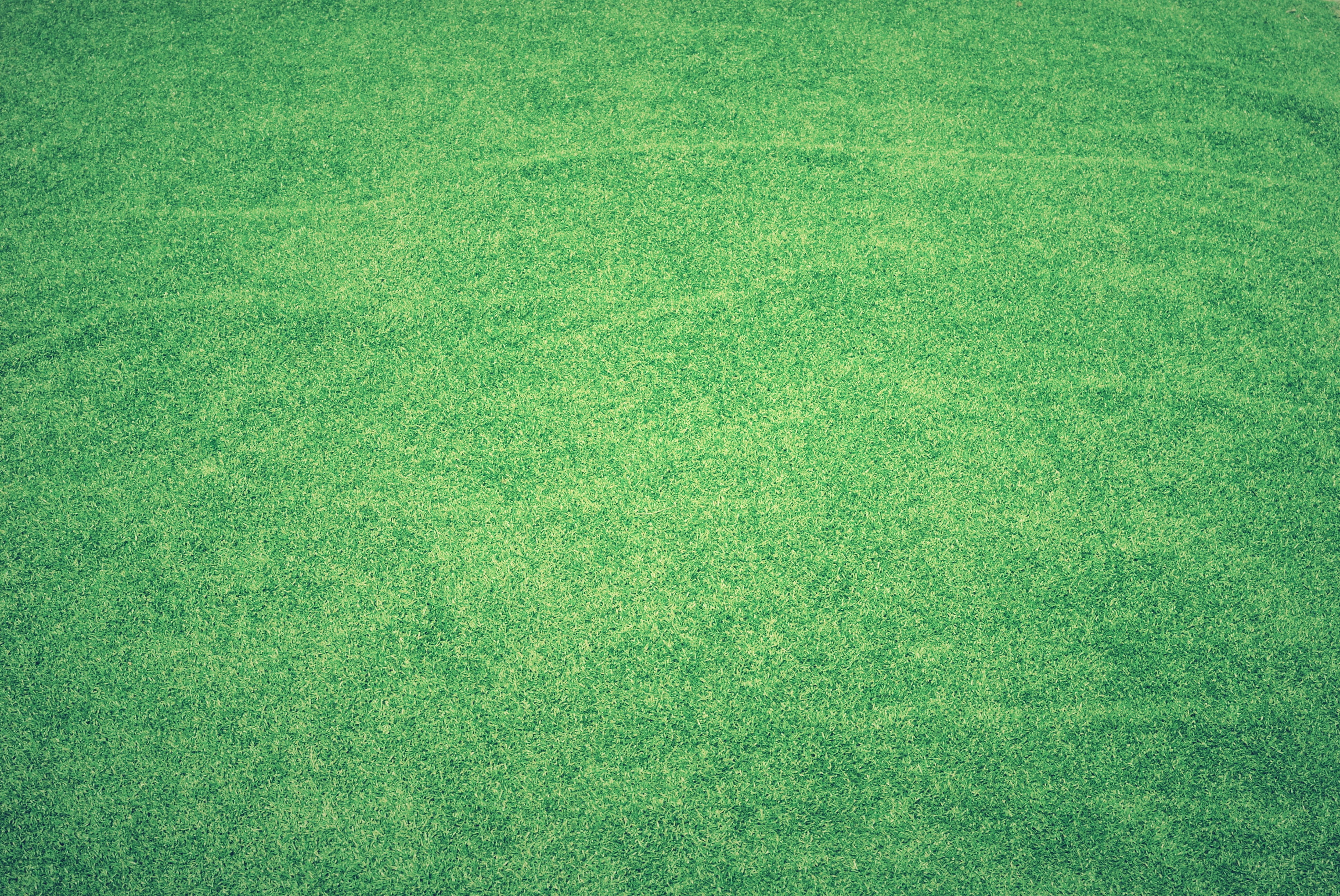beautiful, turf, football, decorative, sod, textured, soccer, plant, green color, view, indoor, garden, design, detail, golf, soccer field, green - golf course, HD Wallpaper