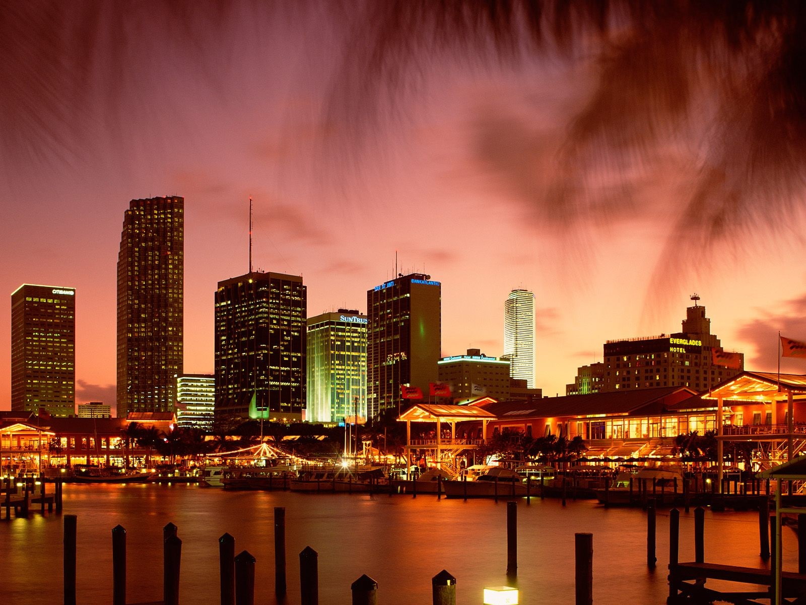 city lights, boat, city, Miami, cityscape, 720P, HD Wallpaper