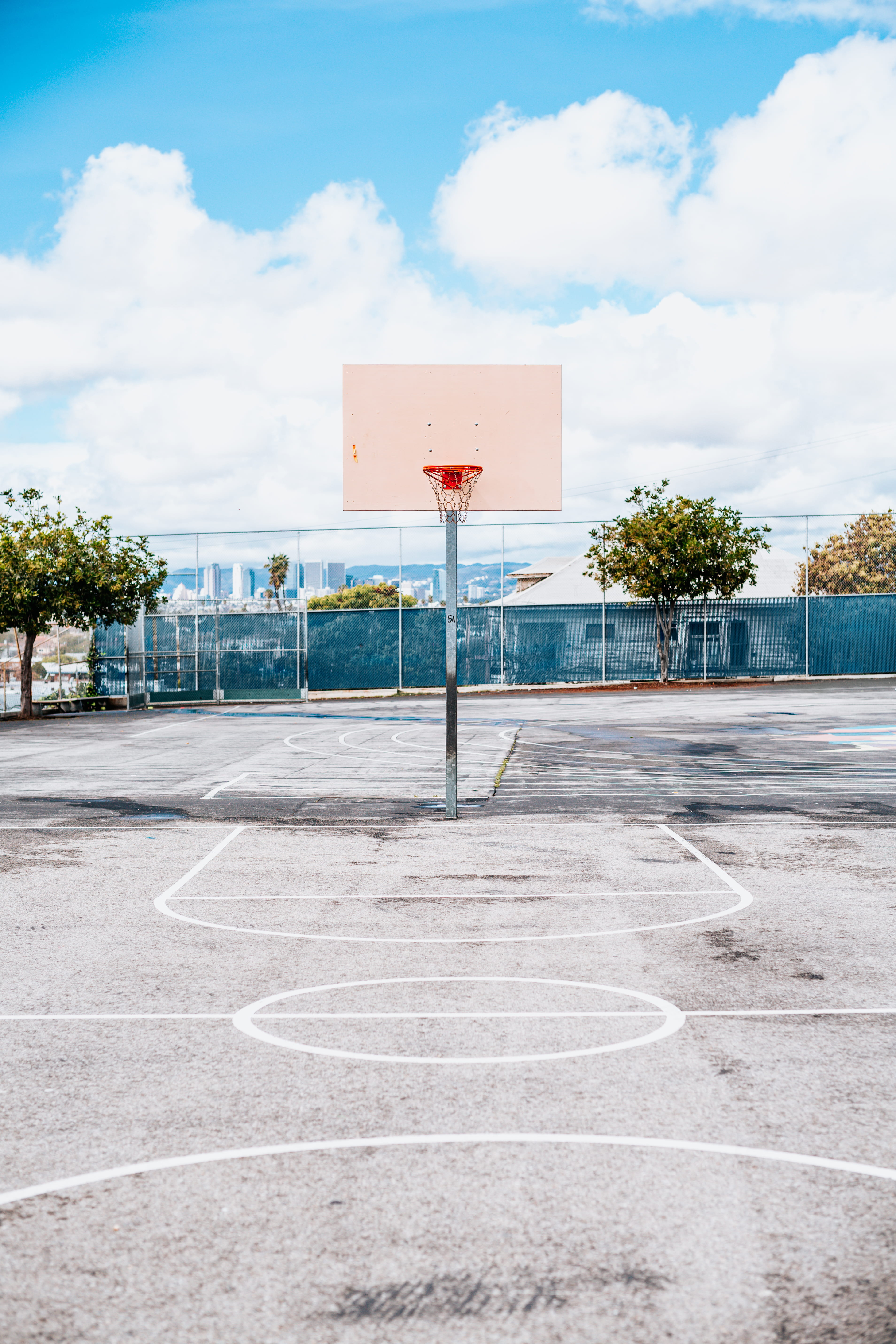 plant, day, ring, no people, sunlight, built structure, court, basketball court, basketball - sport, cloud - sky, basketball, team sport, tree, sport, cloudy, Phone HD Wallpaper