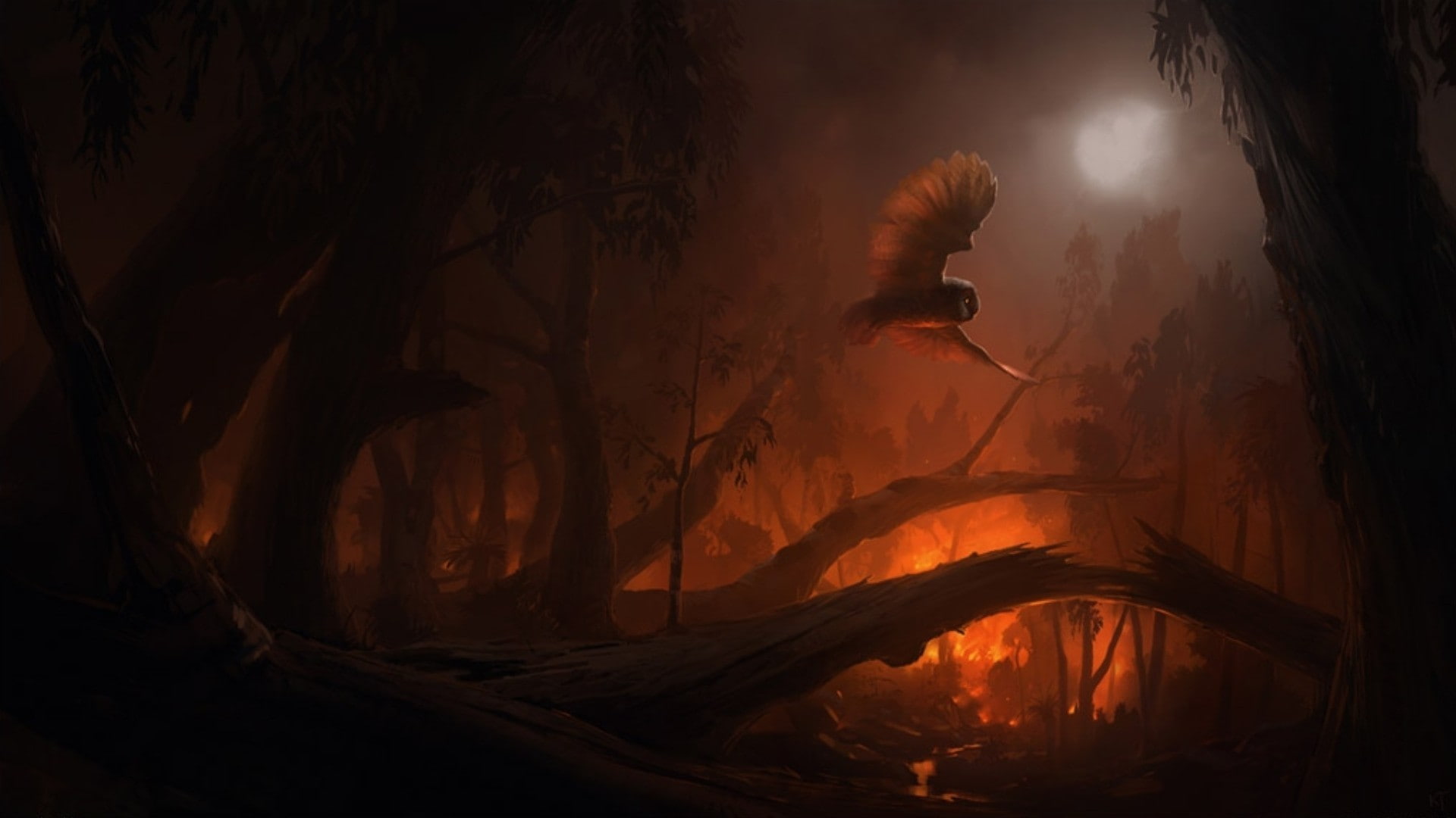 fire, 1080P, owl, forest, fantasy art, HD Wallpaper