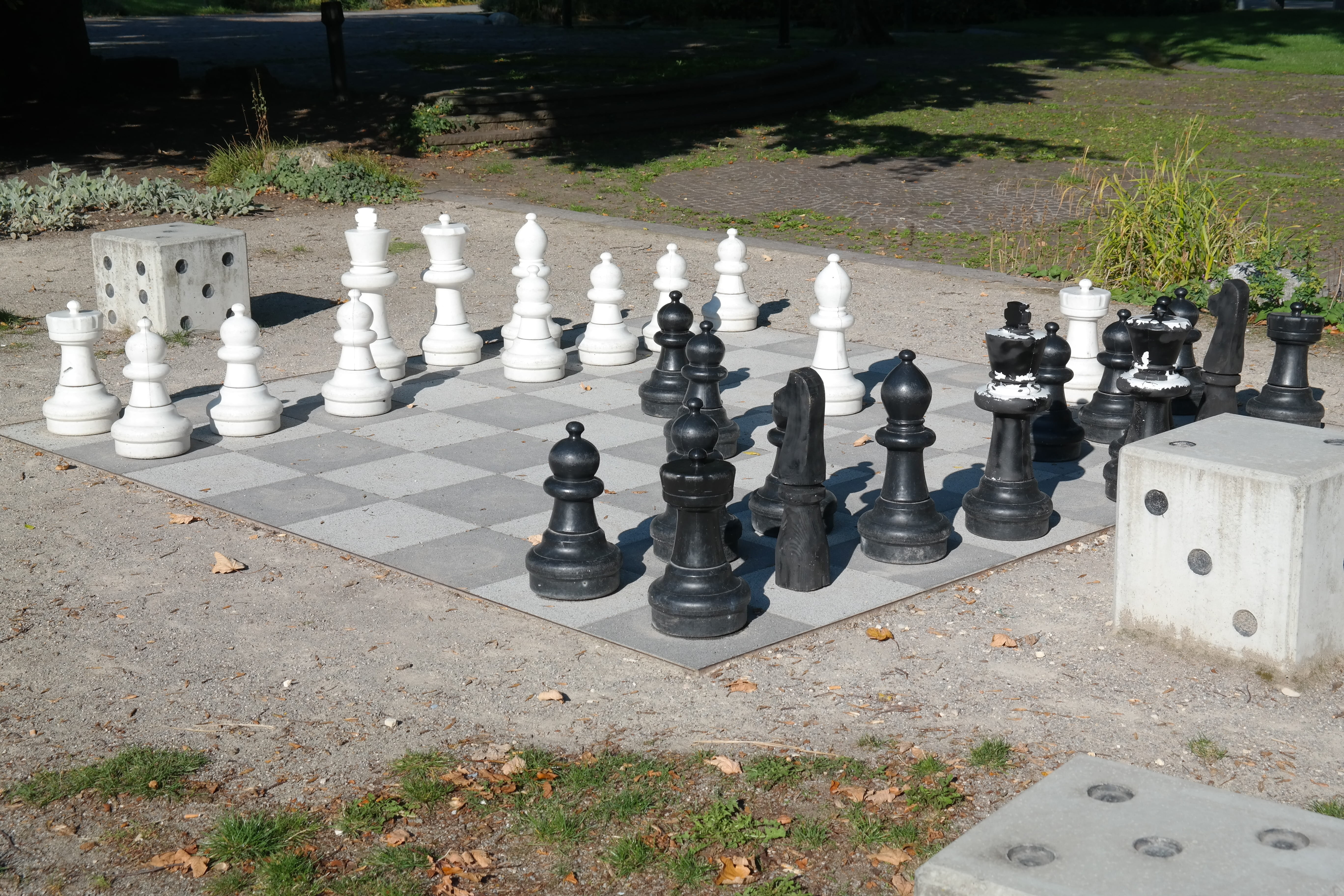 pawn - chess piece, leisure games, game, sunlight, large group of objects, farmers, chess, play, arrangement, chess piece, chess pieces, park, day, black color, HD Wallpaper