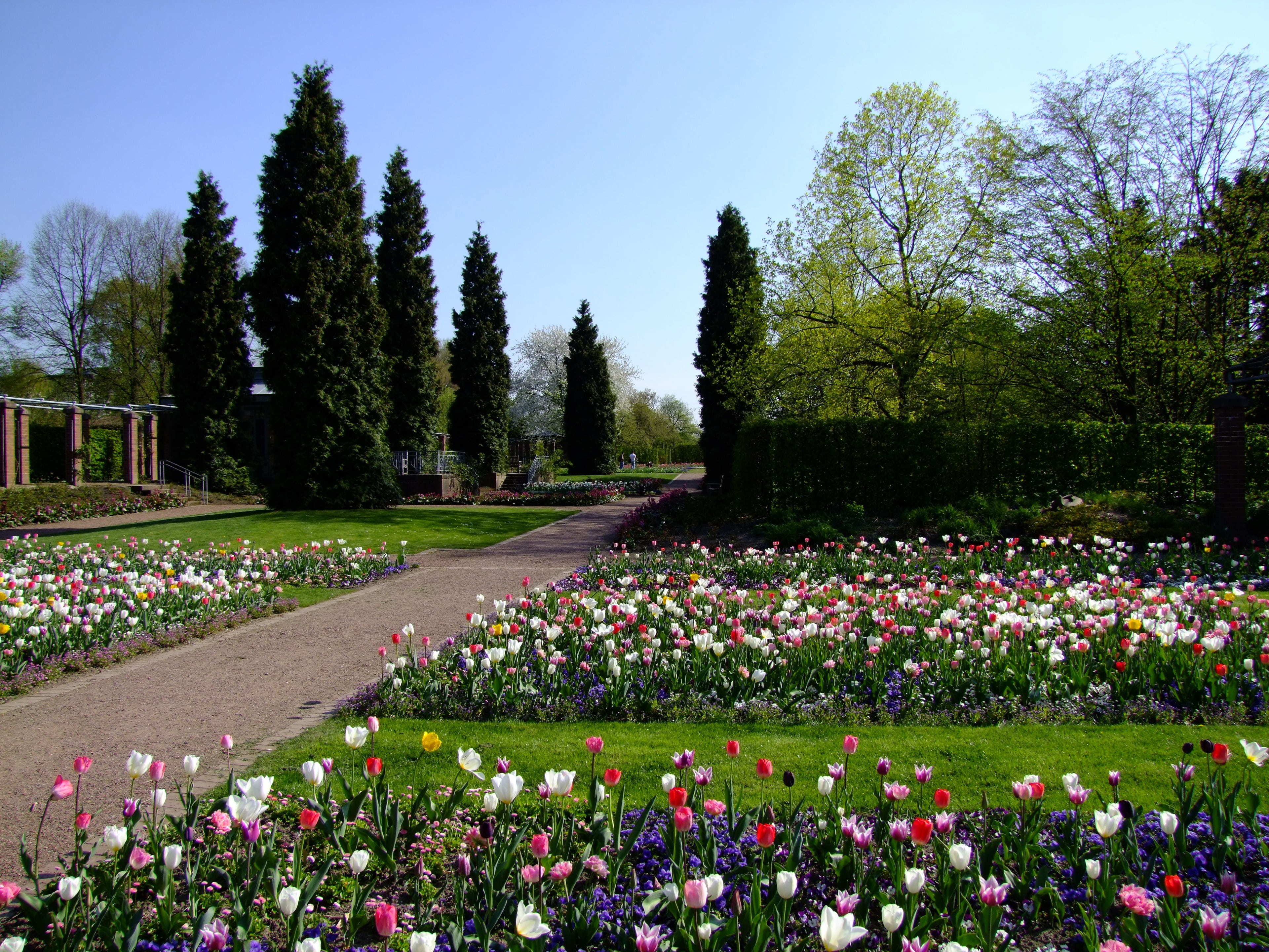 south park, flora, freshness, fragility, vulnerability, sky, grass, tranquil scene, no people, spring, green color, flowering plant, flowers, ornamental plants, HD Wallpaper
