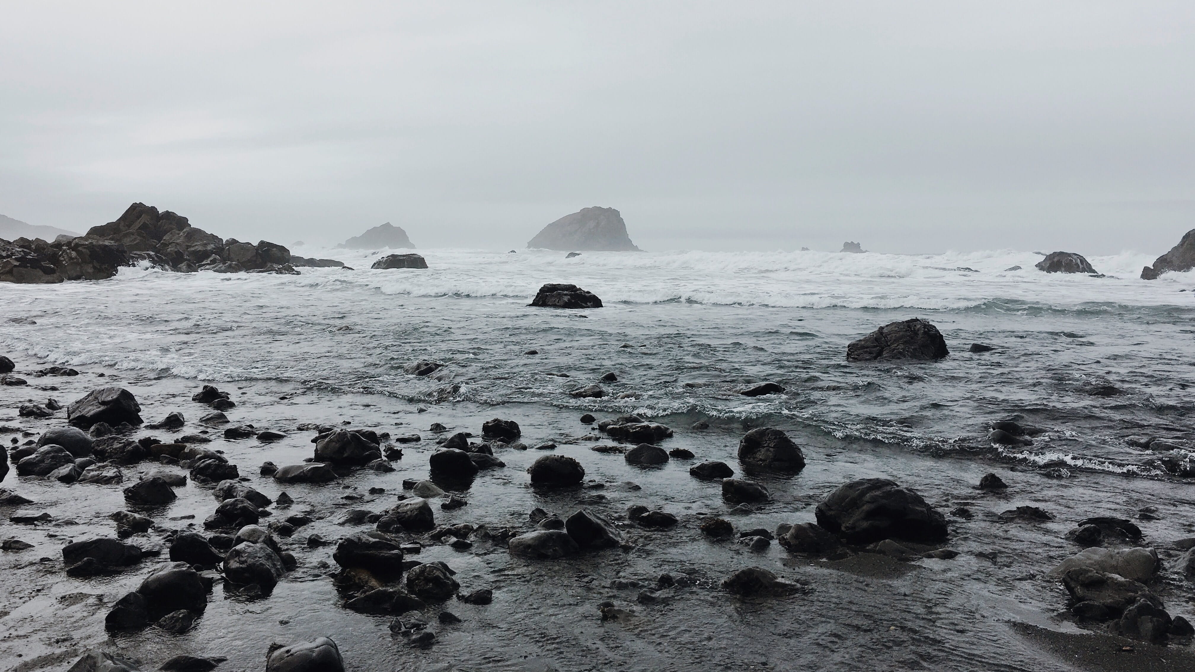 waves, gray, tranquility, tranquil scene, black And White, animal themes, horizon over water, scenics - nature, solid, color Image, rock formation, animal wildlife, HD Wallpaper
