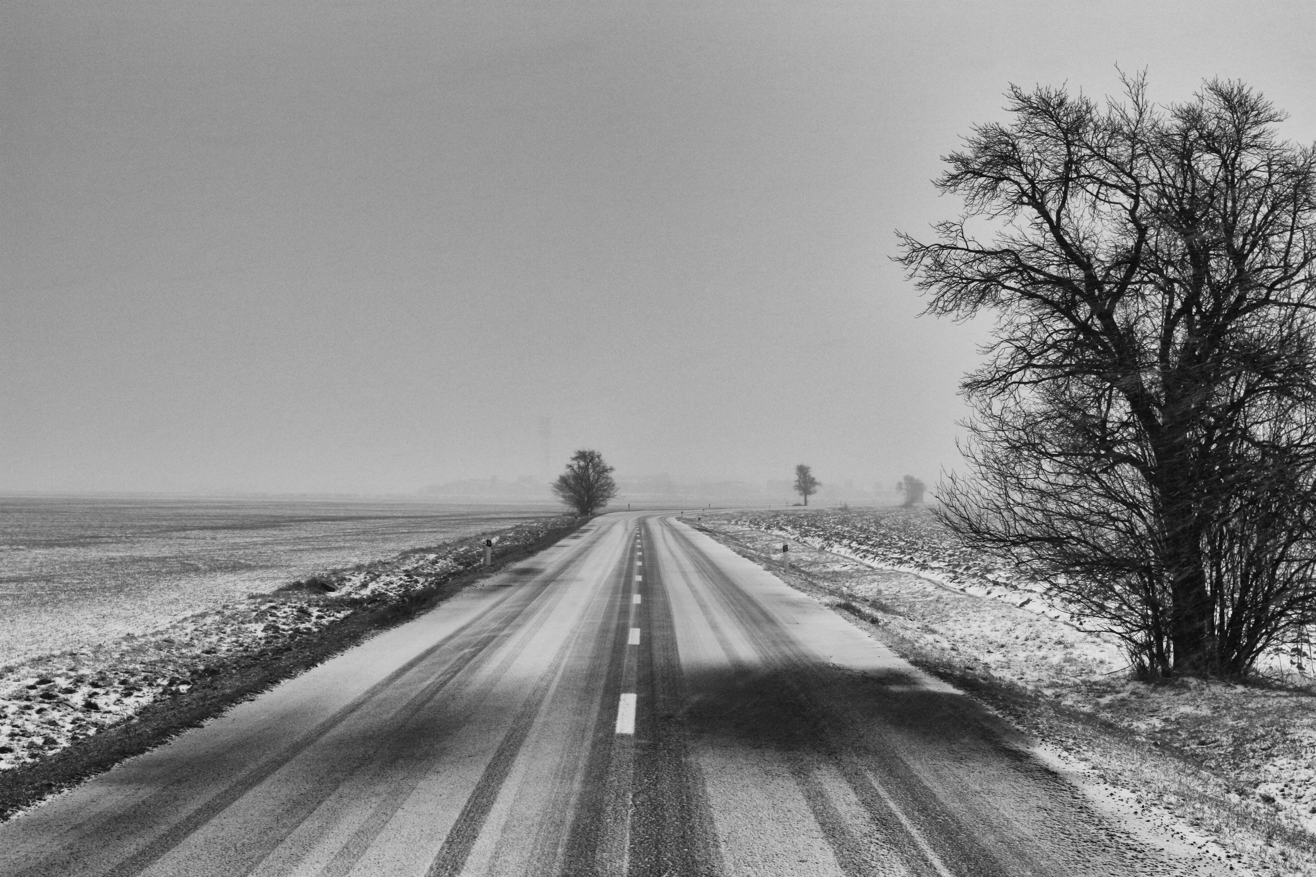 snowy, road, 35 mm, photograph, rural Scene, bush, Winter  road, concrete, empty, image, cold, Přerov, Winter Road, light, bw, Czechoslovakia, grayscale, HD Wallpaper