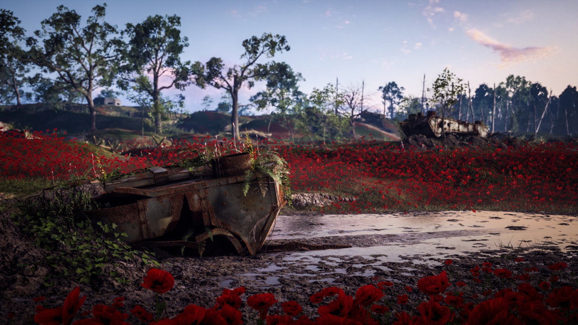 Red Flower, 1080P, Battlefield 1, Flower, Battlefield, Poppy, HD Wallpaper
