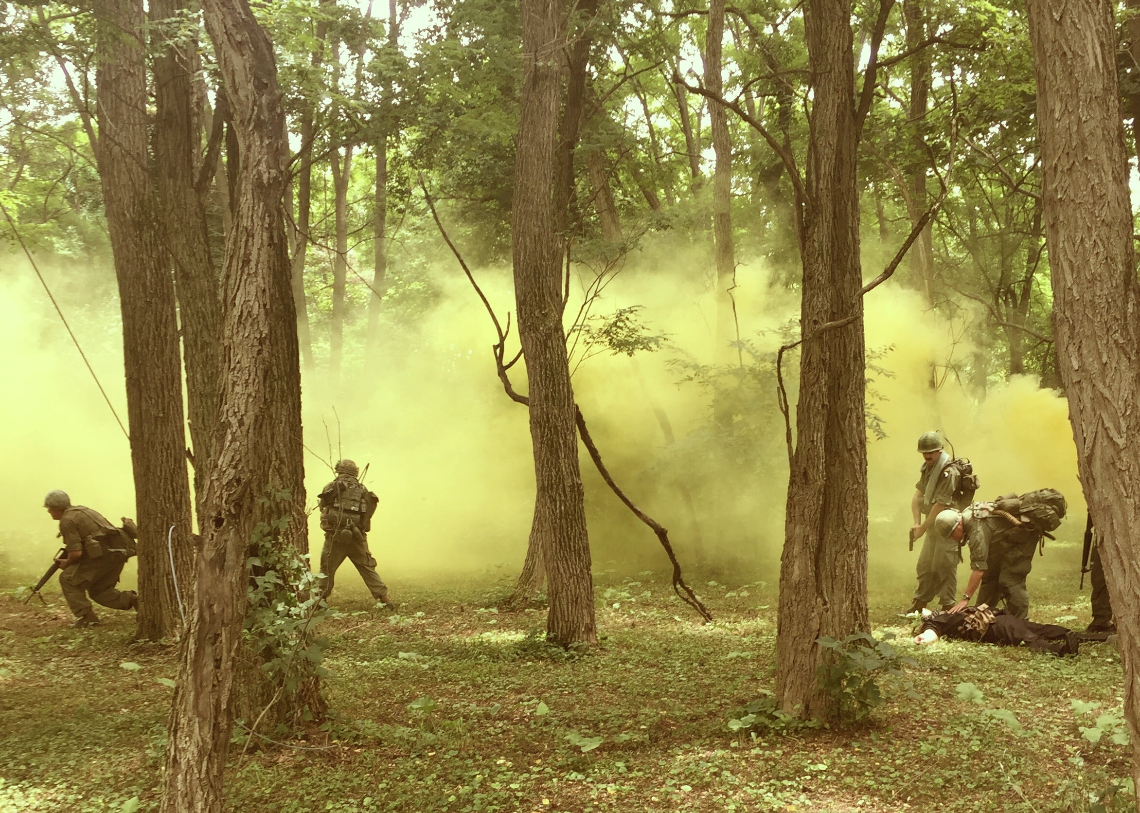 military, full length, tree, 1080P, history, day, patriotism, animal wildlife, land, animals in the wild, outdoors, group of people, forest, real people, HD Wallpaper
