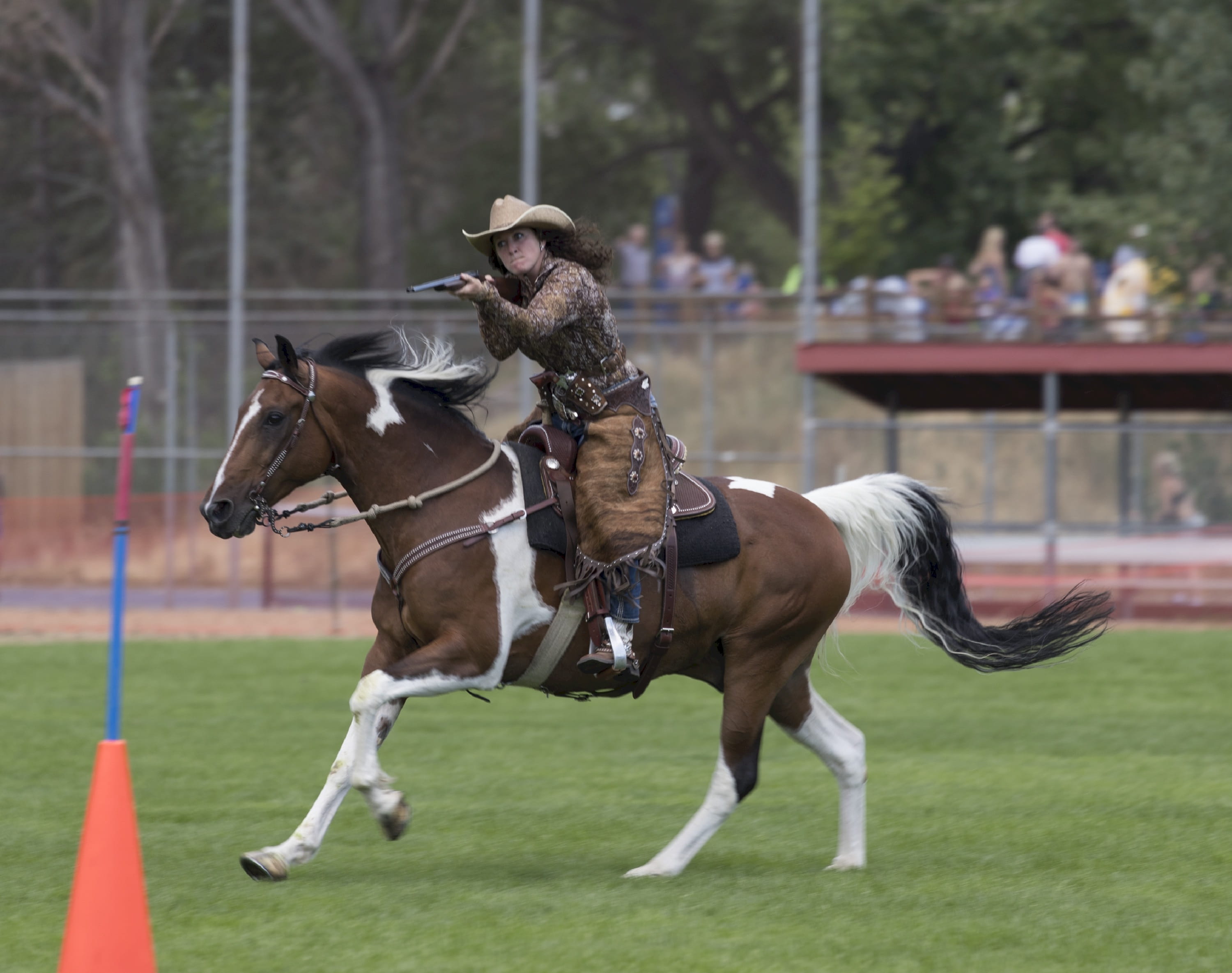 2K, animal, weapon, rider, history, aim, female, livestock, entertainment, mammal, highsmith, shooting, group of animals, outdoors, grass, costume, shoot, HD Wallpaper