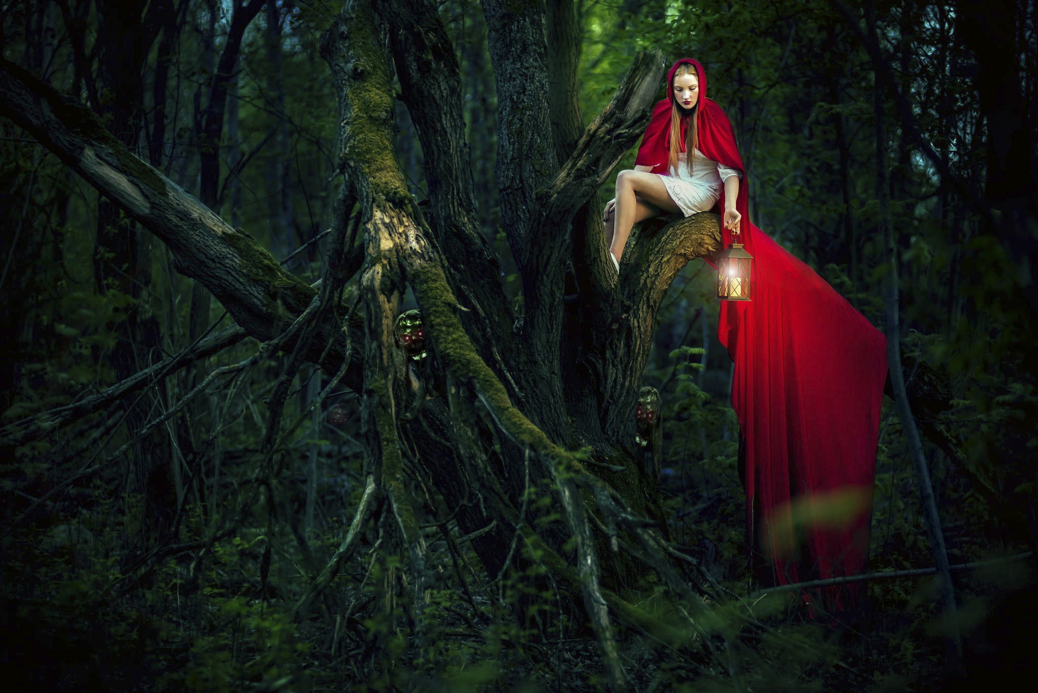 dark, dress, nature, lantern, women outdoors, evil, plant, women, one person, tree, Little Red Riding Hood, fairy tale, woodland, beauty in nature, mystery, HD Wallpaper