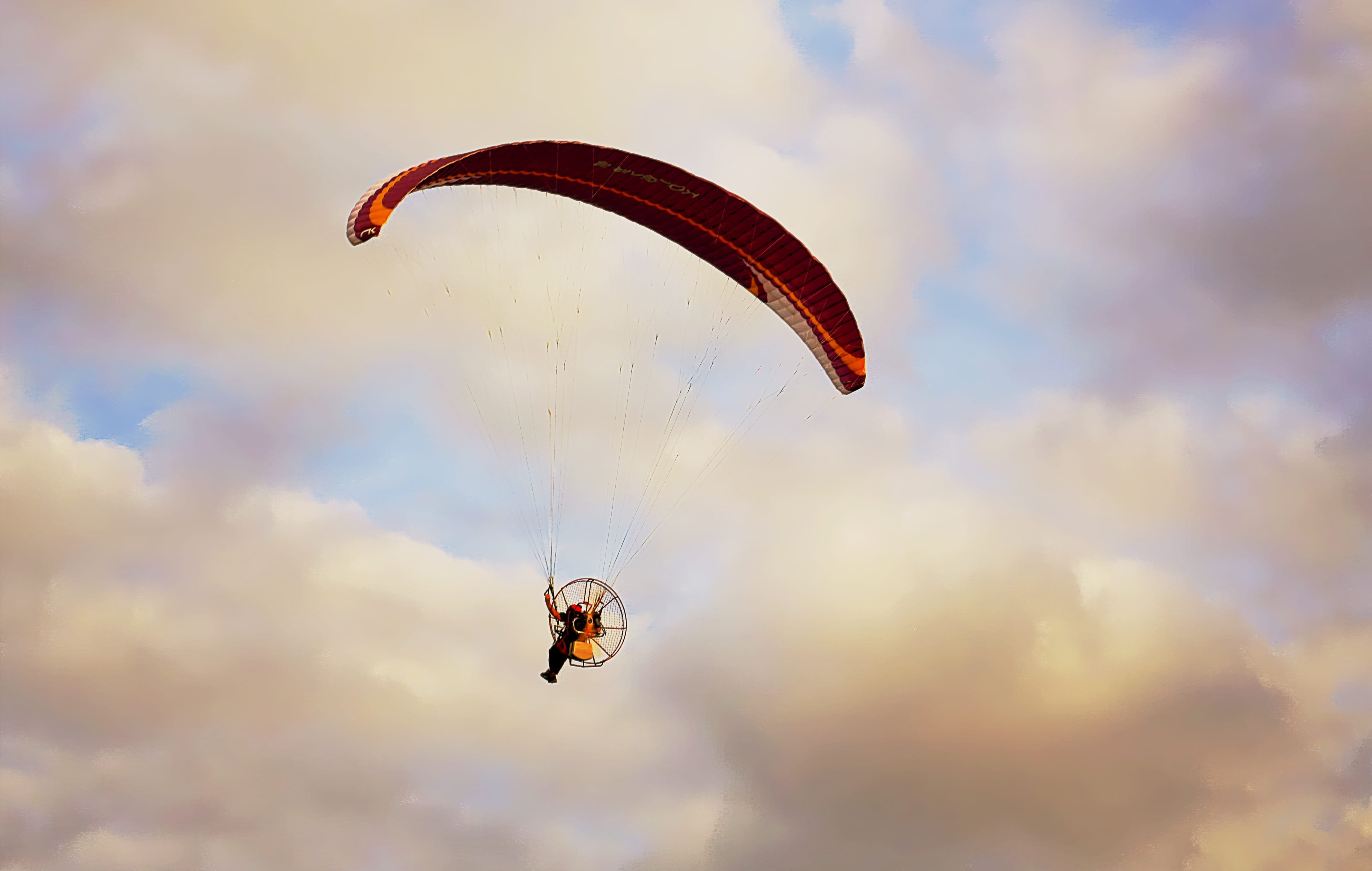 Sunset, extreme sports, person, unrecognizable person, parachute, Cloud, Wing, outdoors, flight, insect, lifestyles, leisure activity, joy, day, one animal, HD Wallpaper