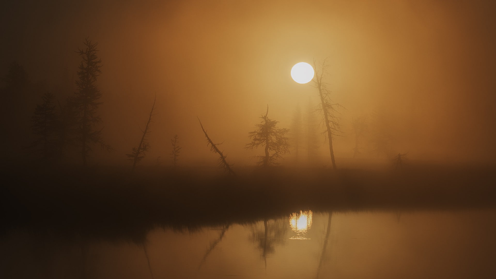 nature, planetary moon, reflection lake, outdoors, blurred, moon, 1080P, full moon, landscape, plant, tranquility, silhouette, lake, mist, tranquil scene, HD Wallpaper