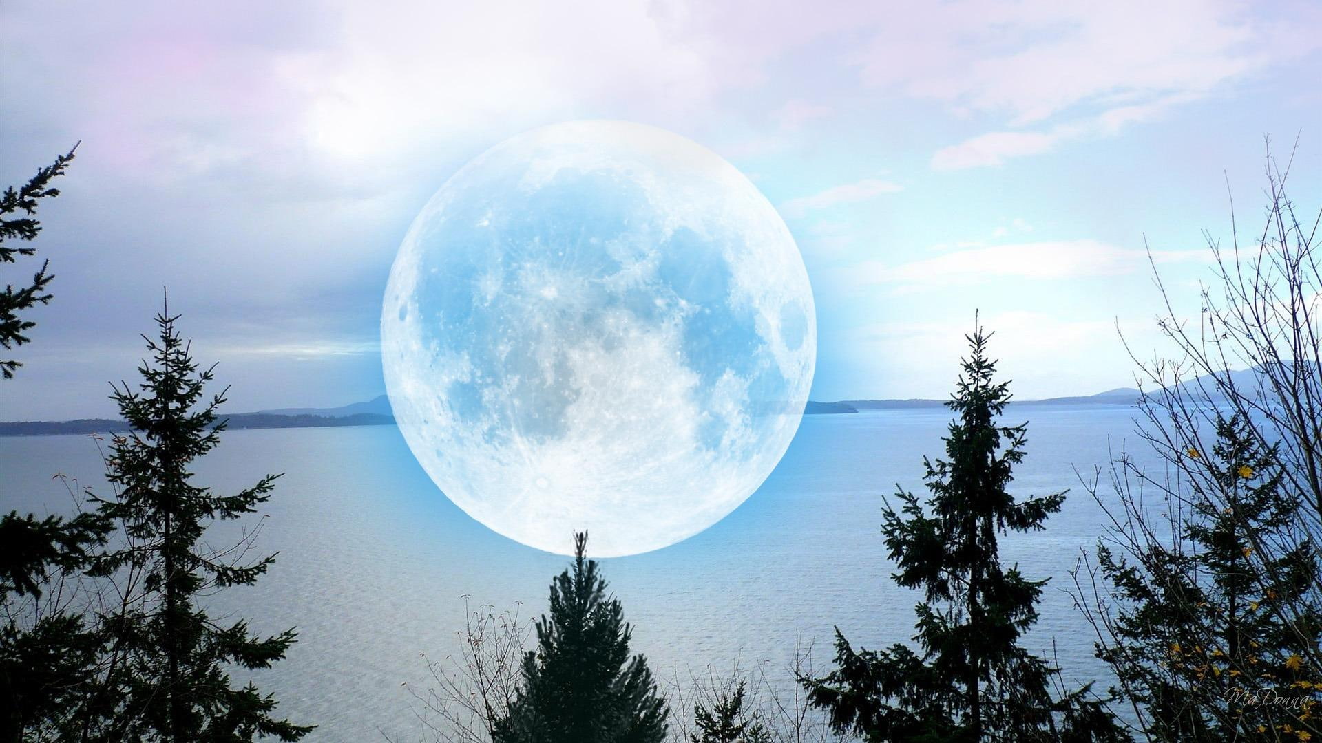 water, ocean, 3d and abst, islands, trees, washington, firefox persona, widescreen, chuckanut, 1080P, moon, HD Wallpaper