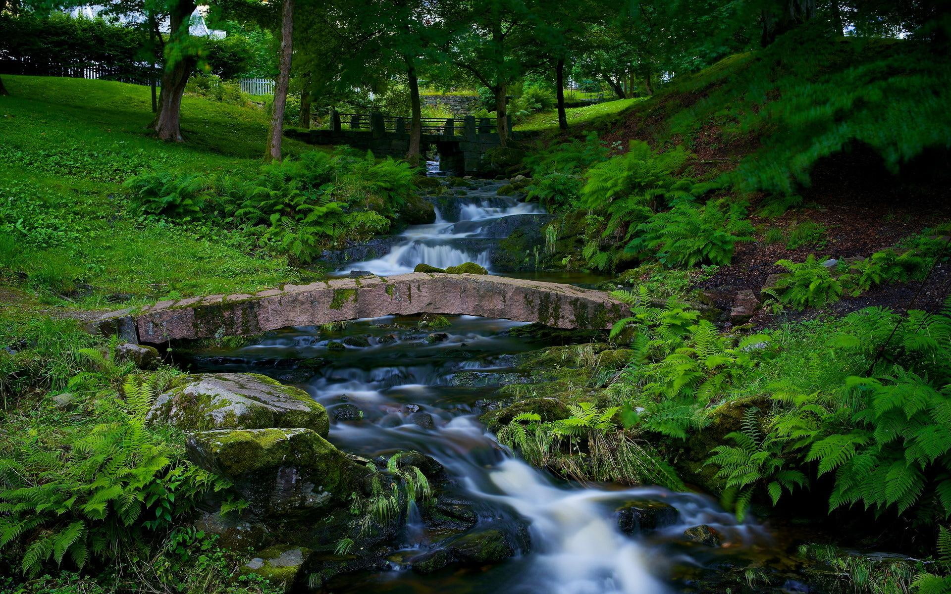 beauty, beautiful, river, stones, trees, lovely, peaceful, grass, splendor, green, 1080P, leaves, view, water, HD Wallpaper