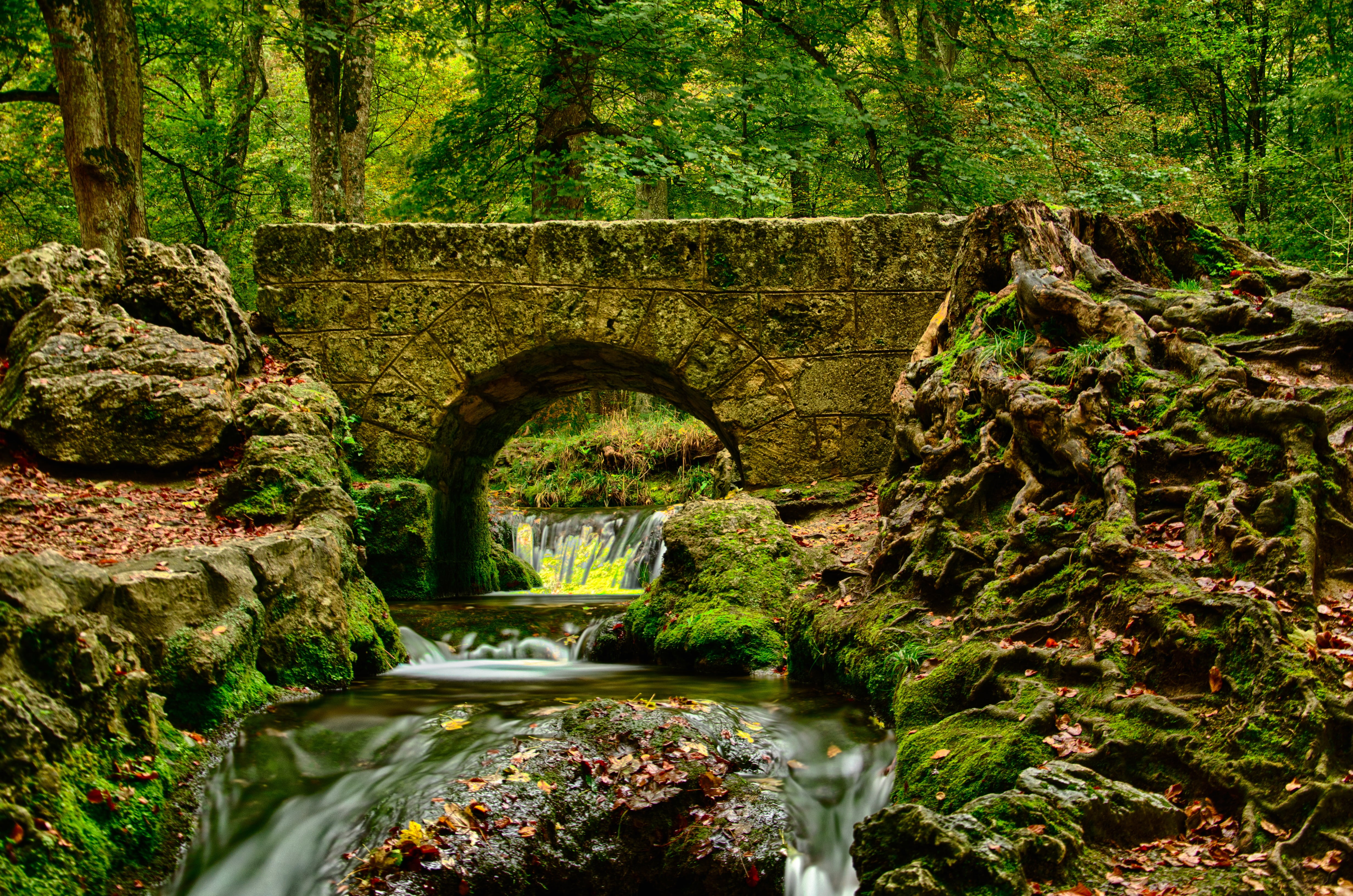 surrounded, waters, root, day, tree, stone bridge, scenics - nature, water running, concrete, leaf, landscape, idyllic, leaves, urach waterfall, brühl bach, HD Wallpaper