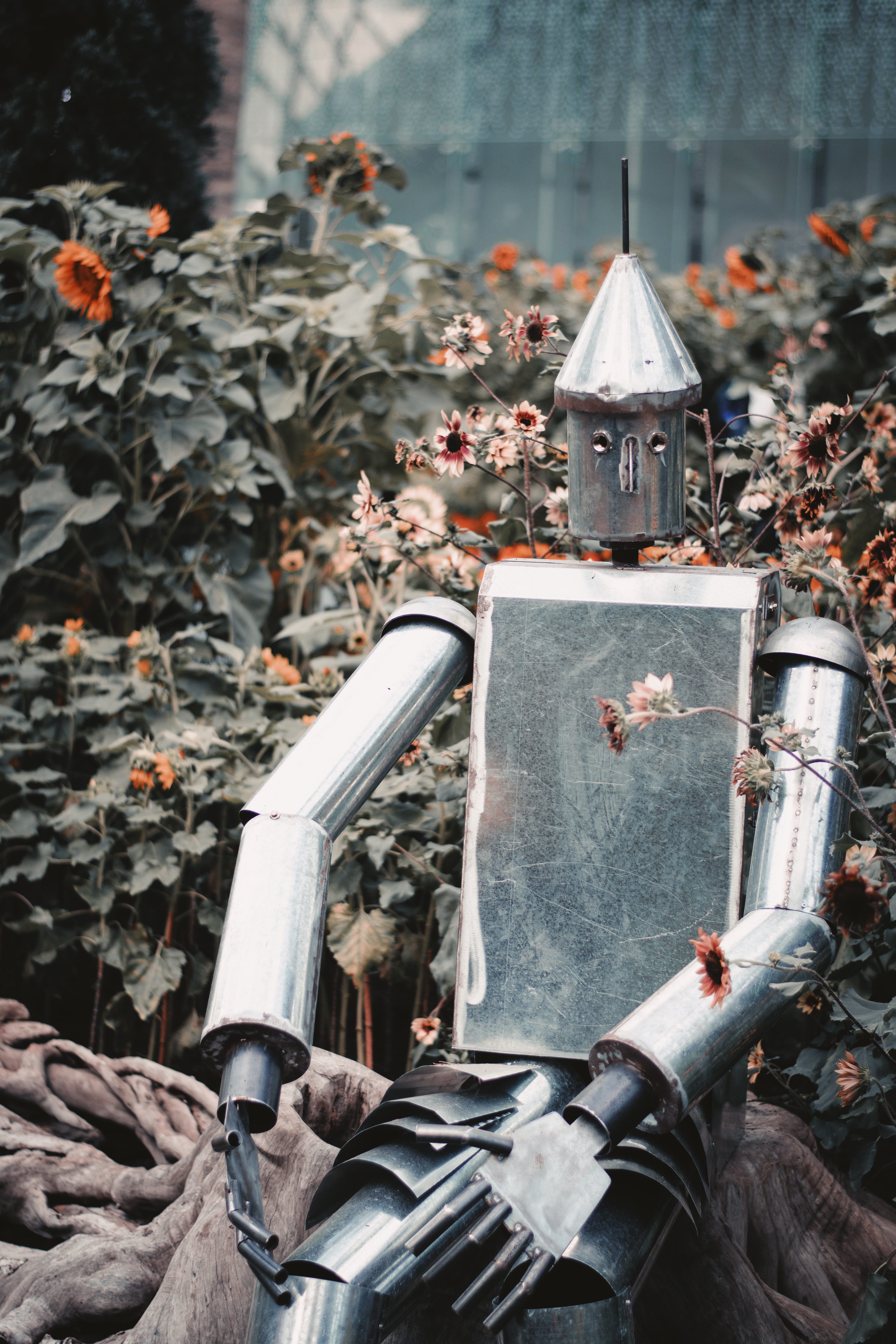 5K, plant part, mode of transportation, outdoors, belief, architecture, no people, religion, oz, metal, spirituality, nature, transportation, close-up, Phone HD Wallpaper