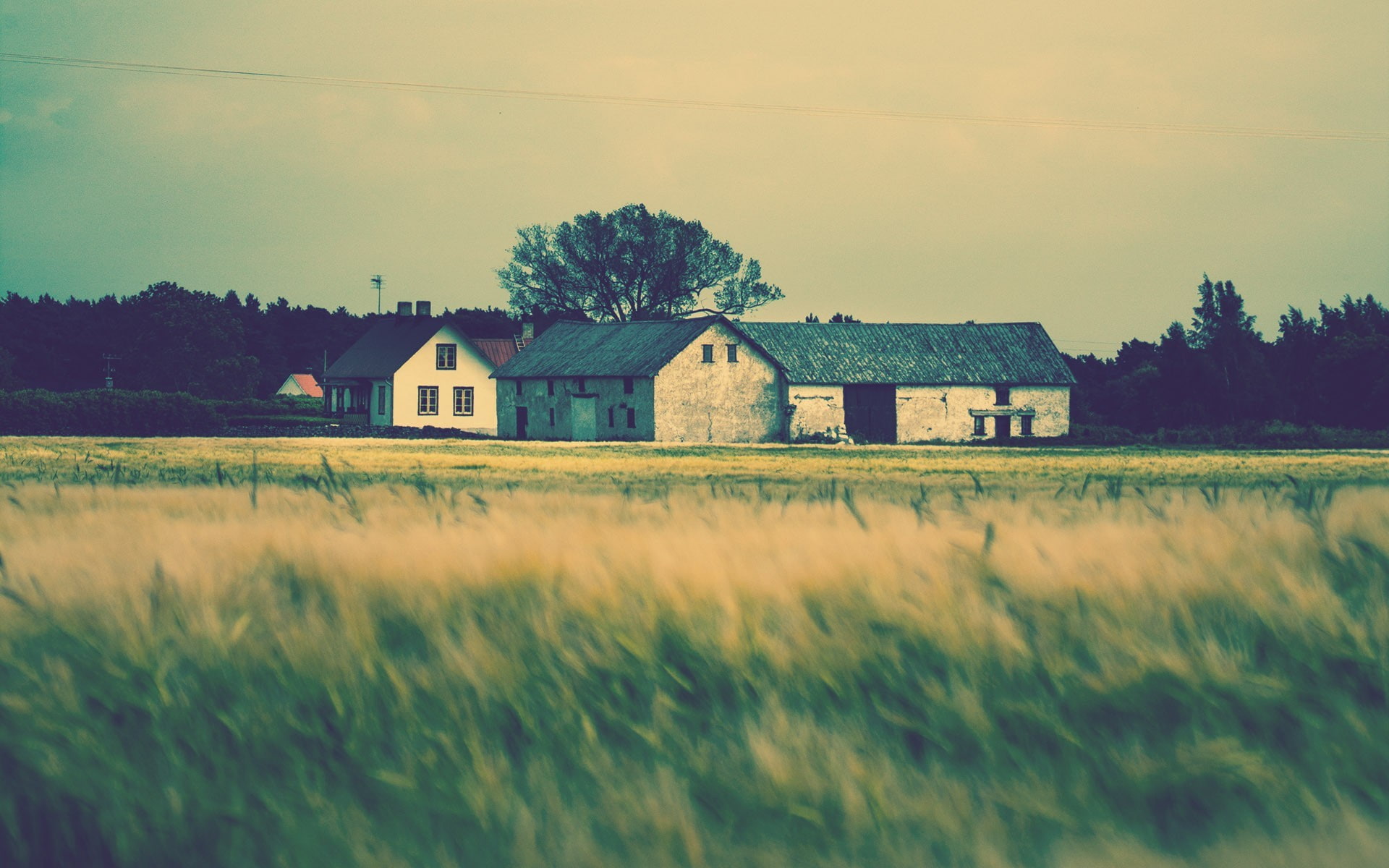 1080P, apartment, blur, home, house, landscape, grass, background, trees, roof, greens, tree, nature, HDw allpapers, HD Wallpaper