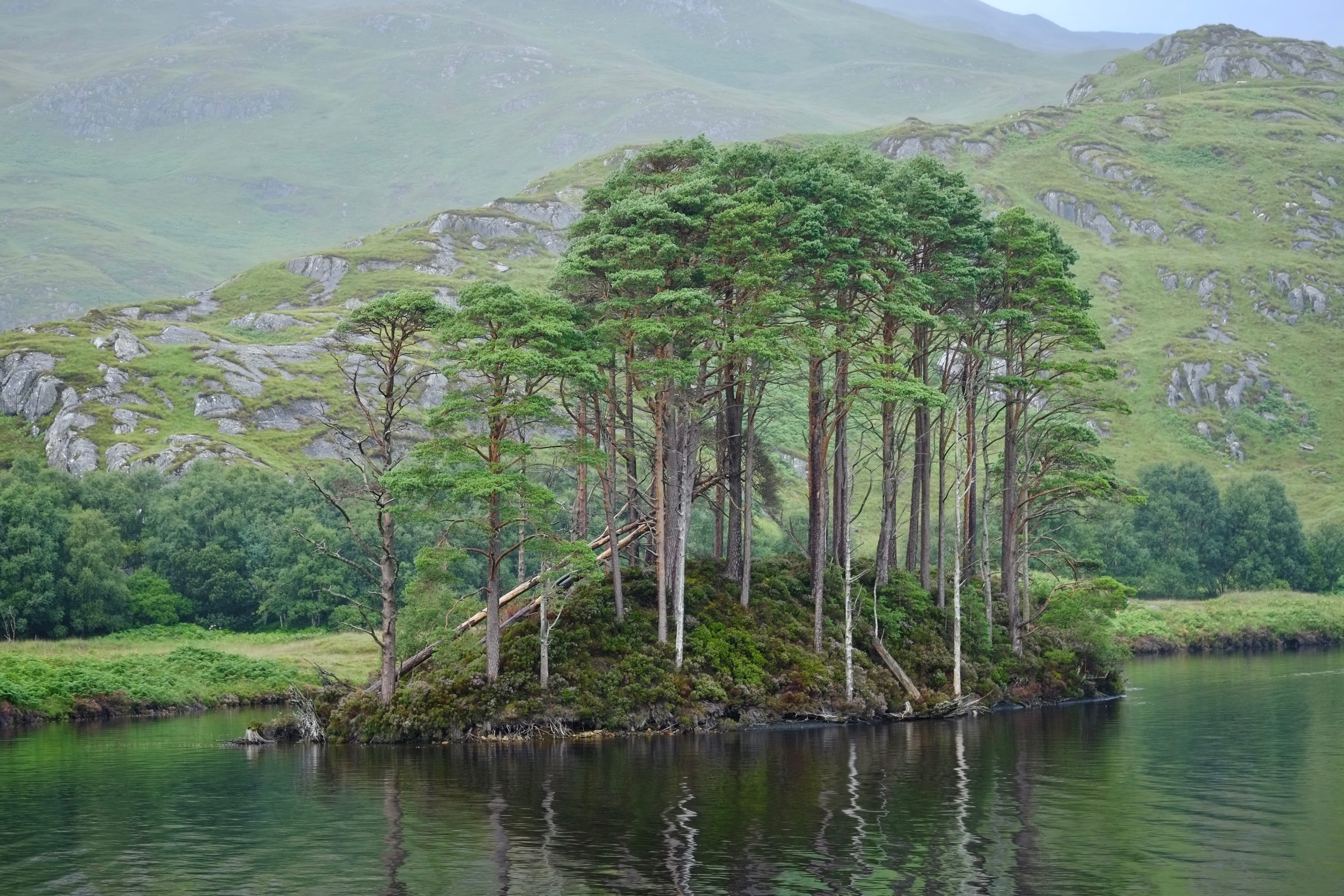 tranquil scene, no people, scenics - nature, environment, harry potter, lake, landscape, day, growth, 4K, plant, green color, mountain, tranquility, dumbledore, HD Wallpaper
