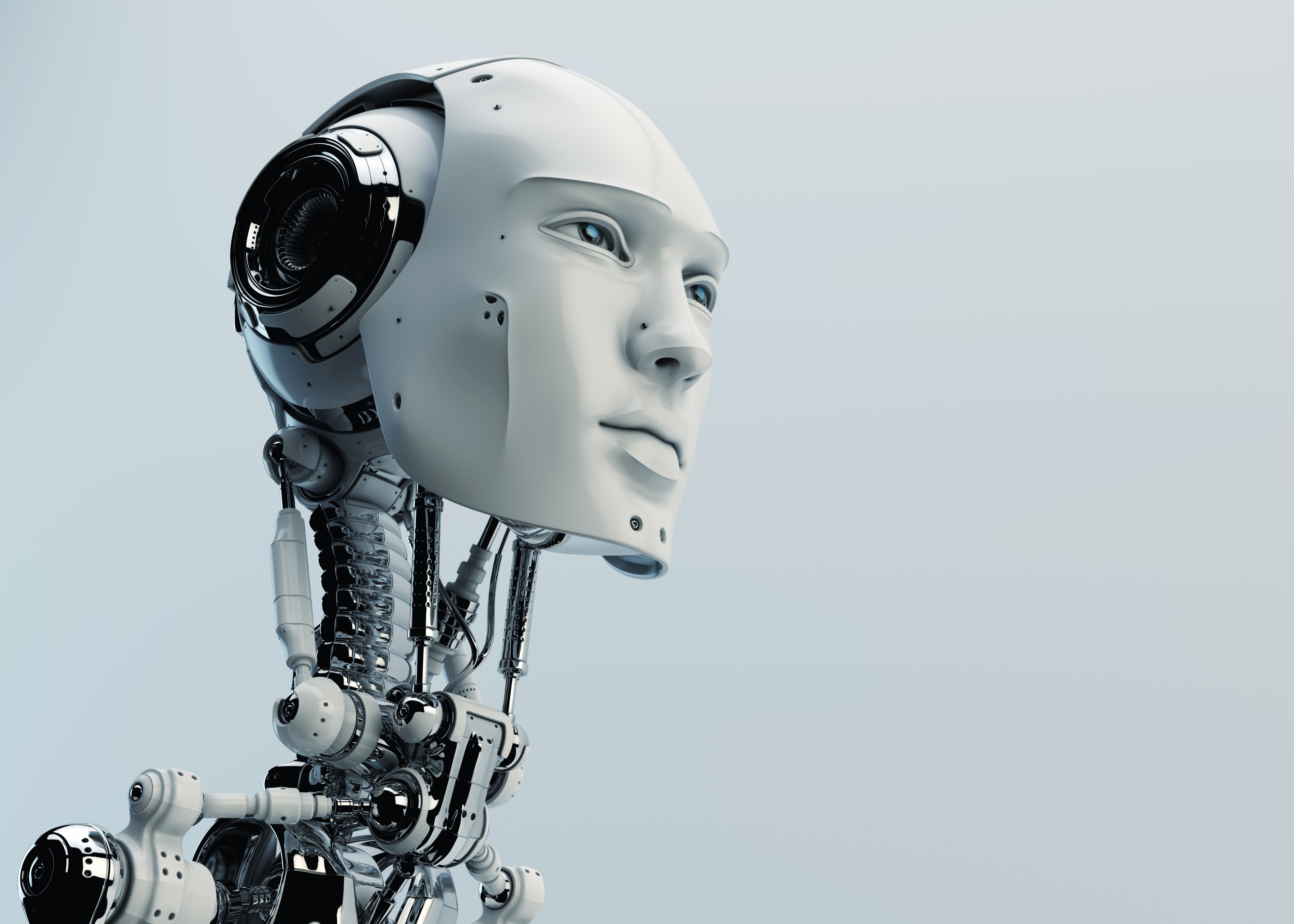 humanoid, 5K, head, robot, HD Wallpaper