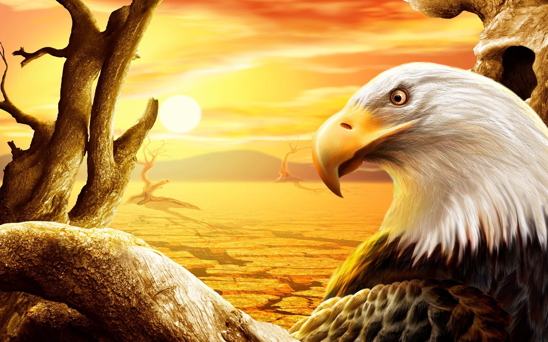 1080P, hd, eagles, cgi, art, d, cg, abstract, HD Wallpaper