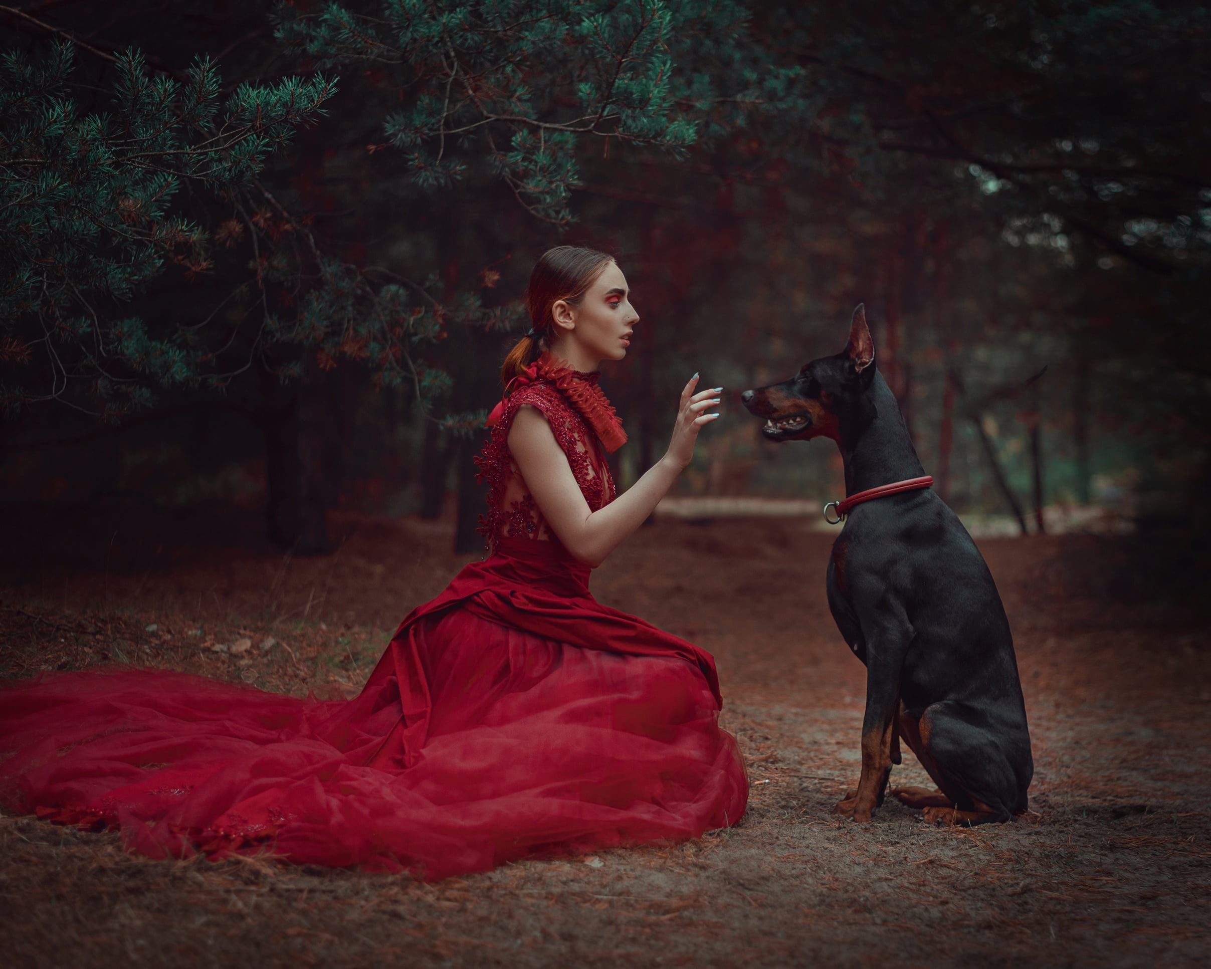 dress, hand, gesture, style, Anastasia Dobrovolskaya, forest, Doberman, red dress, 1080P, pine, girl, dog, HD Wallpaper