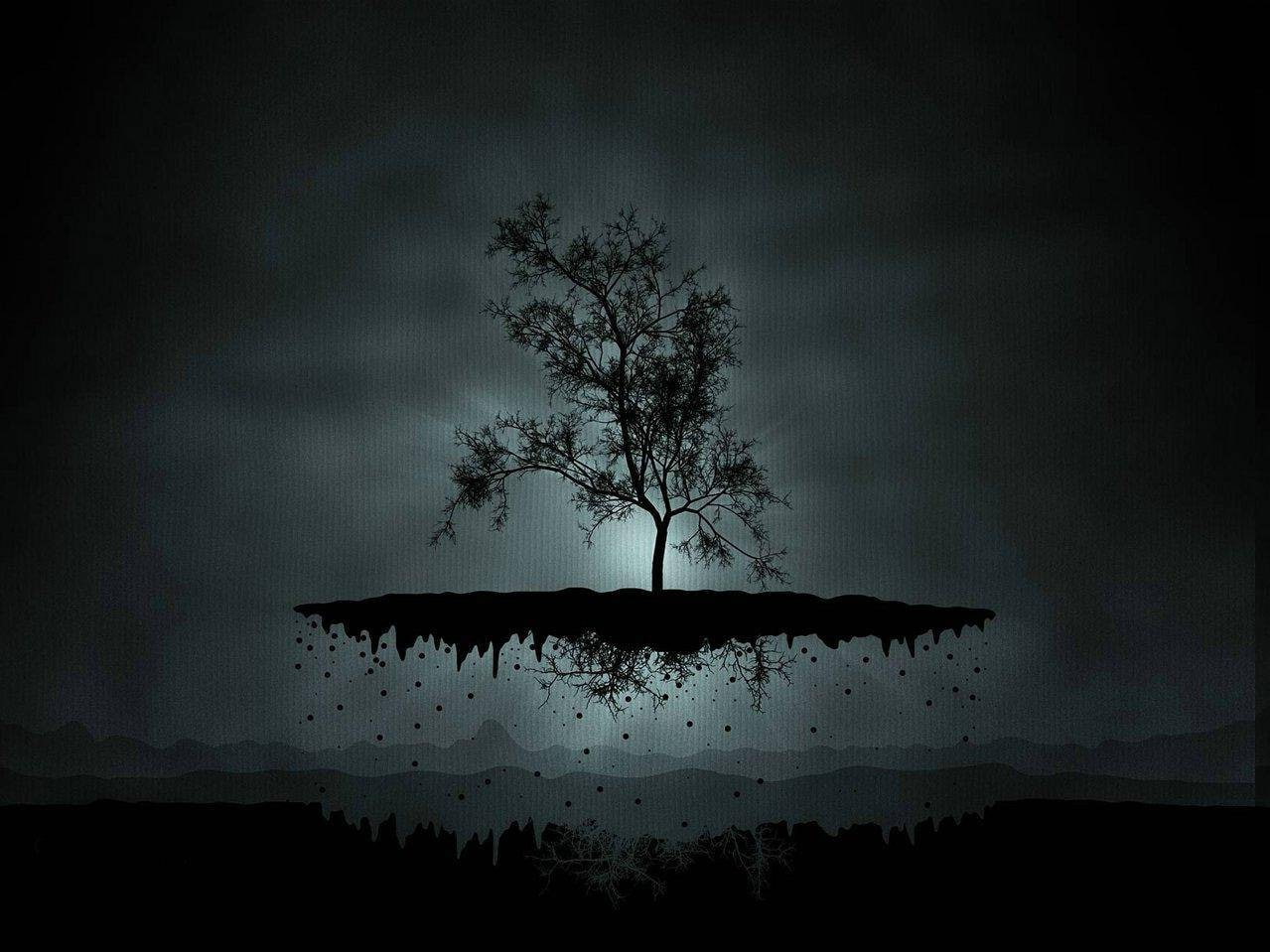 plant, low angle view, tranquility, silhouette, sky, tranquil scene, outdoors, scenics - nature, night, nature, flying, tree, abstract, dusk, animal, 480P, HD Wallpaper