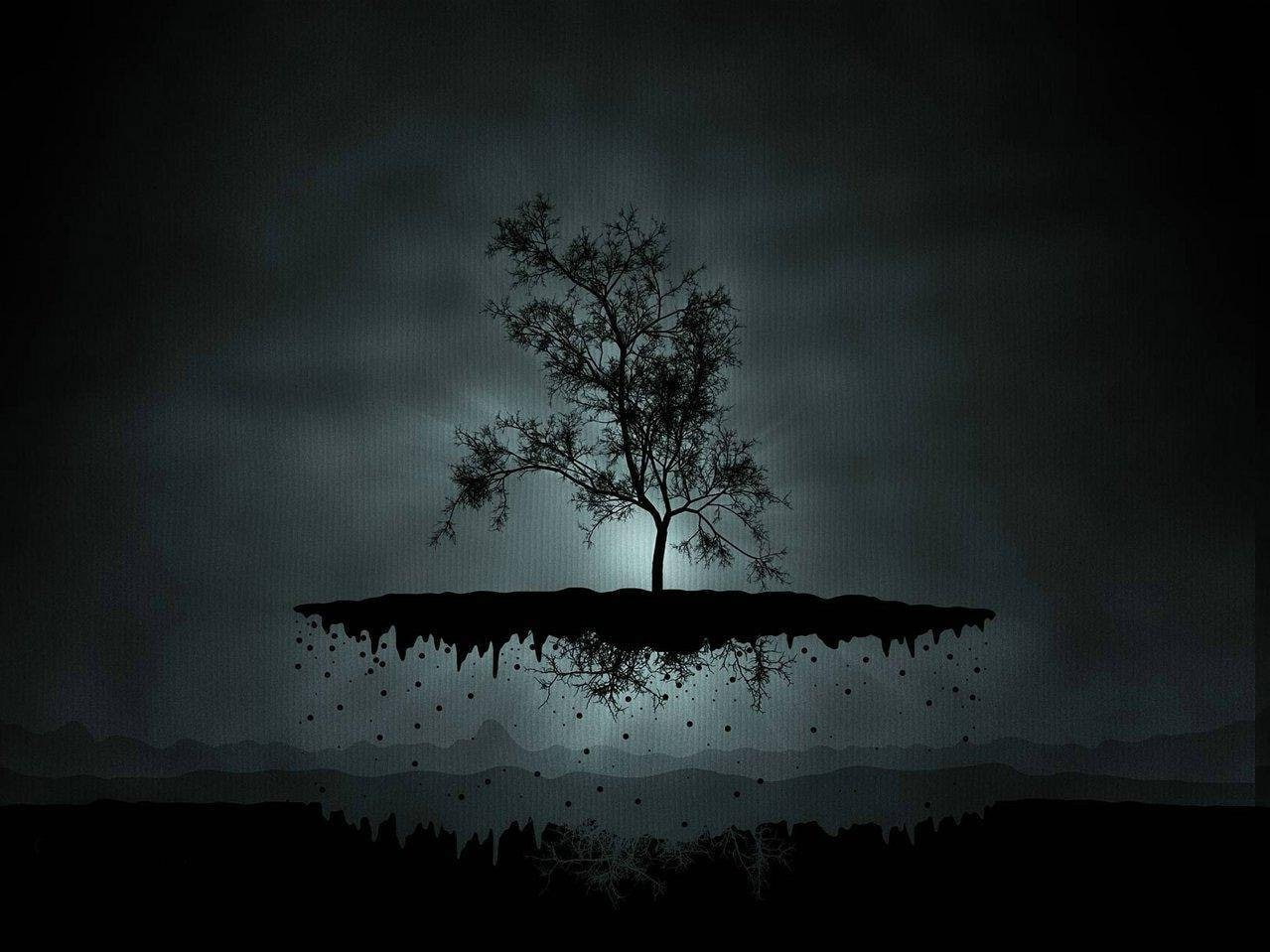 dusk, silhouette, plant, storm, cloud - sky, tranquil scene, night, outdoors, nature, abstract trees cg render, scenics - nature, flying, tree, no people, HD Wallpaper