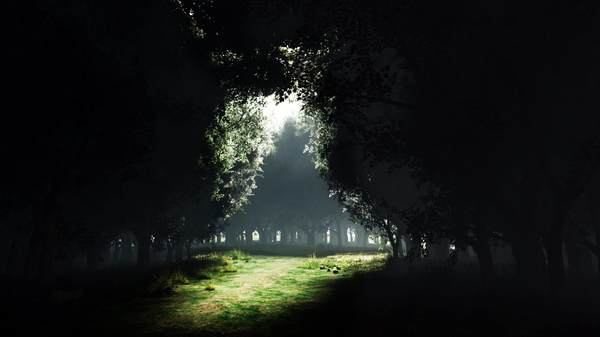 x, none, darkness, 1080P, nature, light, entrance, art, forests, hd, forest, exit, HD Wallpaper