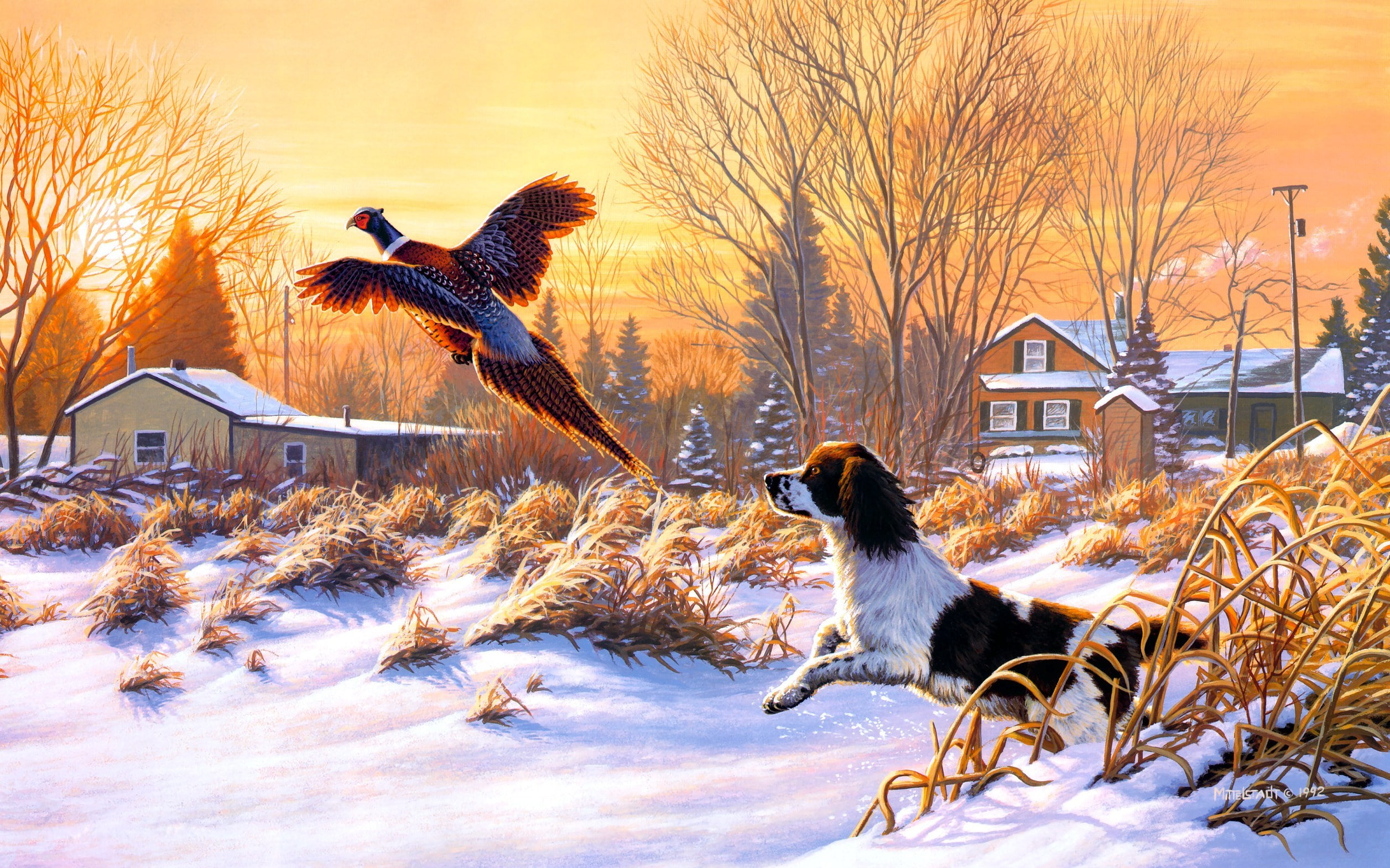 painting, nature, mood, fly, sunrise, Getting, winter, Frank, dog, 1080P, art, hunting, bird, Mittelstadt, Up, snow, HD Wallpaper