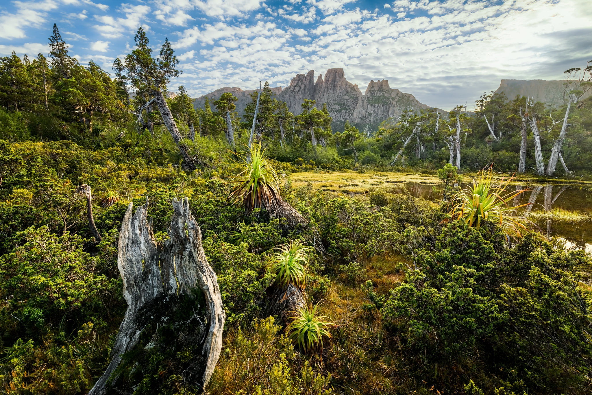 Tasmania, 1080P, Mount Geryon, Cradle Mountain–Lake, Sunrise, HD Wallpaper