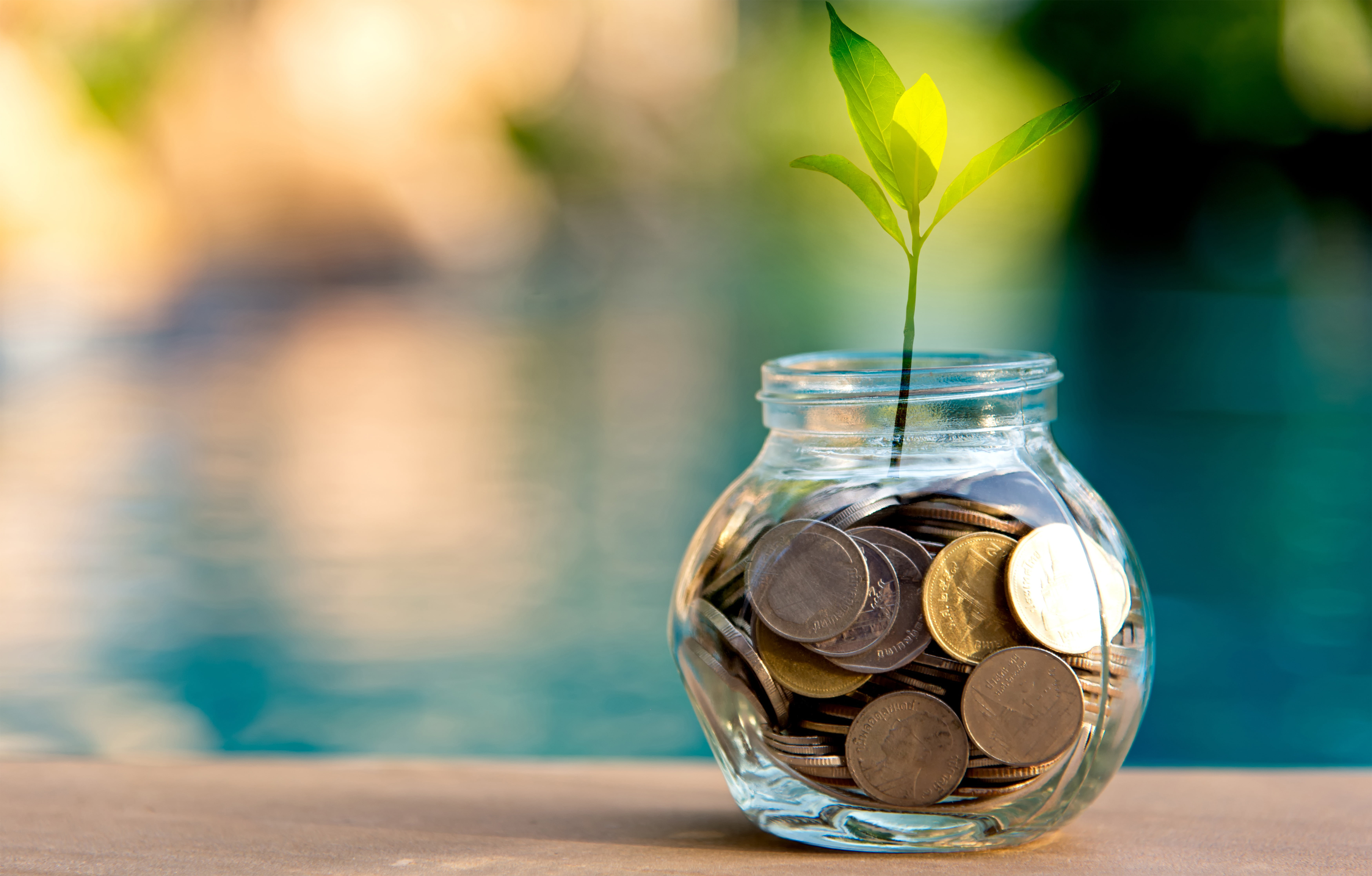 macro, ., water surface reflection, blur, coins, Rostock stretches the light, as you sow so shall you reap, money, bokeh, 5K, Bank, HD Wallpaper