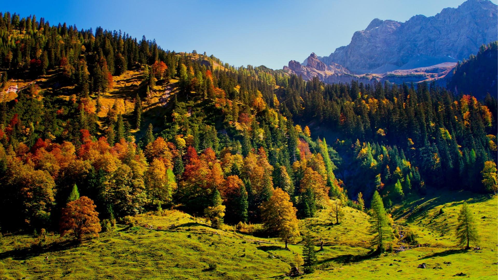1080P, austria, mountains, tree, nature and landscapes, autum, HD Wallpaper