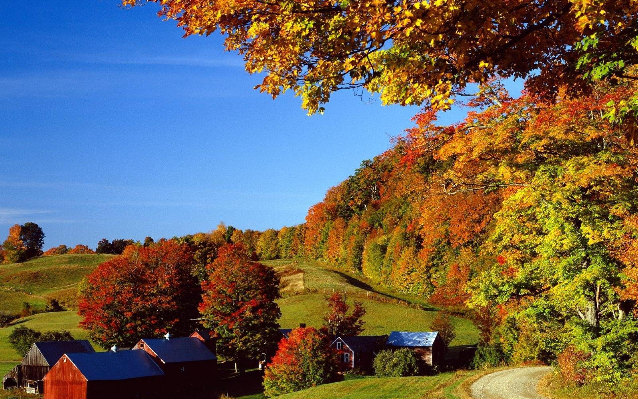 place, t, village, 3d and abstract, autum, 2K, house, forest, little, HD Wallpaper