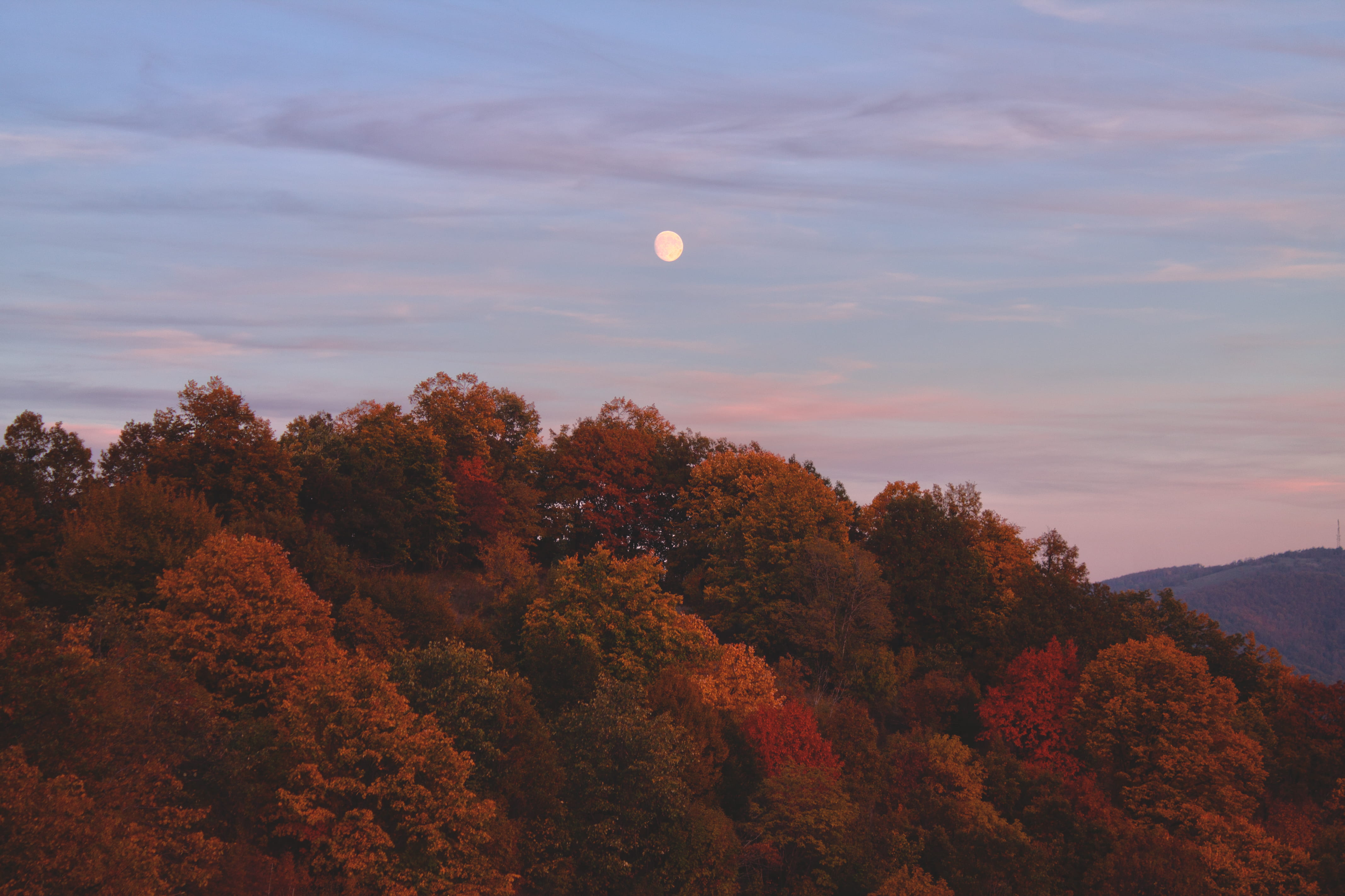 outdoors, 4K, non-urban scene, plant, astronomy, beauty in nature, tranquil scene, no people, scenics - nature, tree, change, orange color, autum, mountain, HD Wallpaper