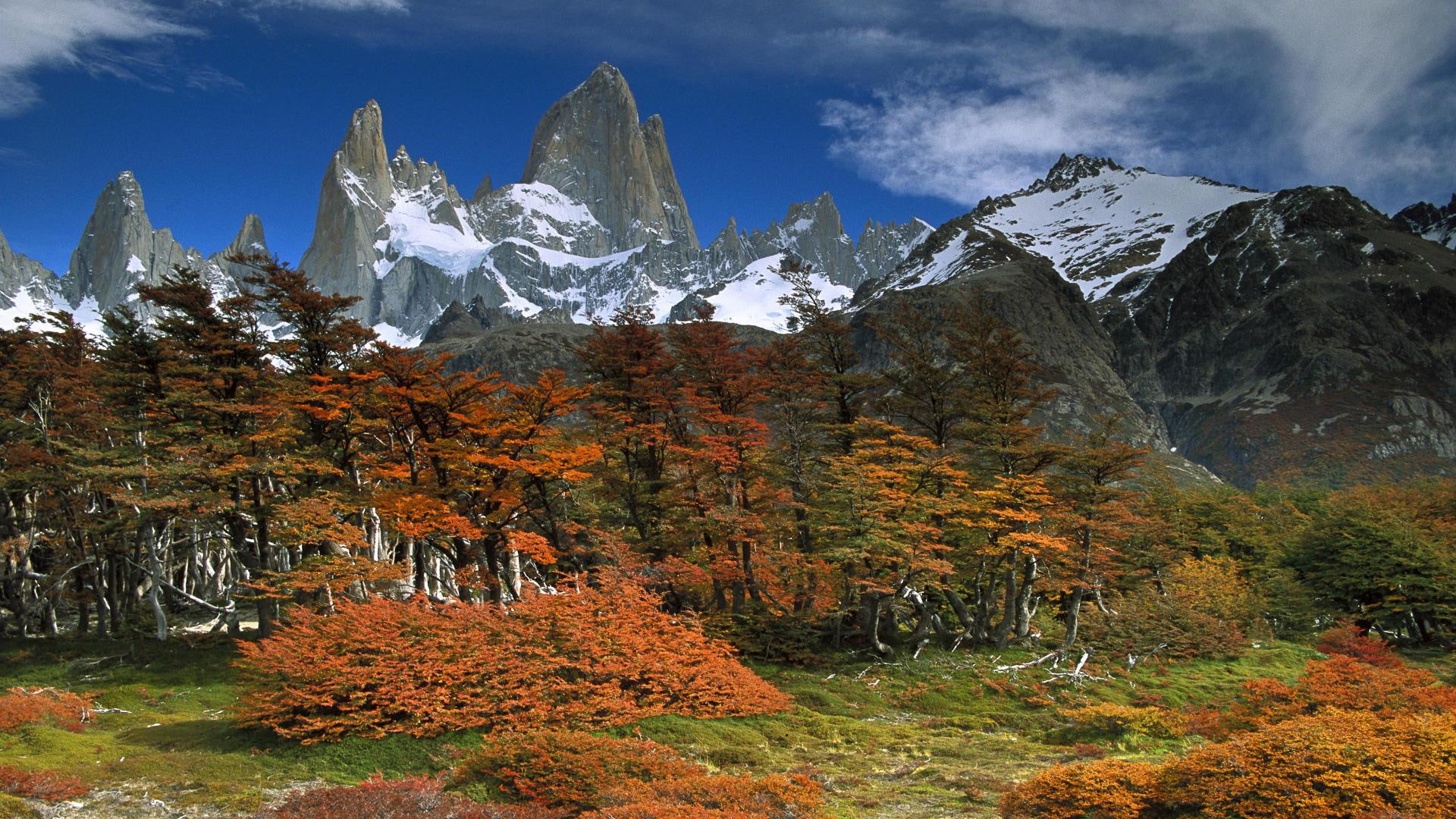 colorful, mountain, season, 1080P, patagonia, splendor, peaceful, argentina, landscape, snow, autum, nature, HD Wallpaper