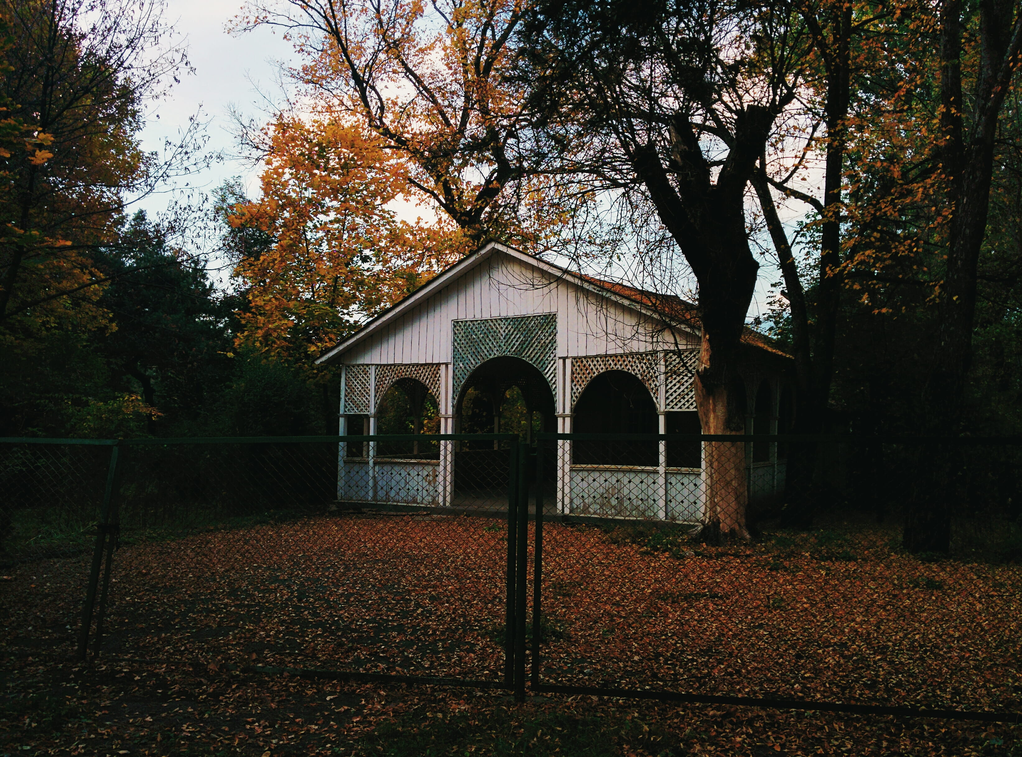 architecture, change, home, built structure, trees, house, no people, 2K, autumn, growth, building, land, plant part, tree, vanadzor, nature, autum, outdoors, HD Wallpaper