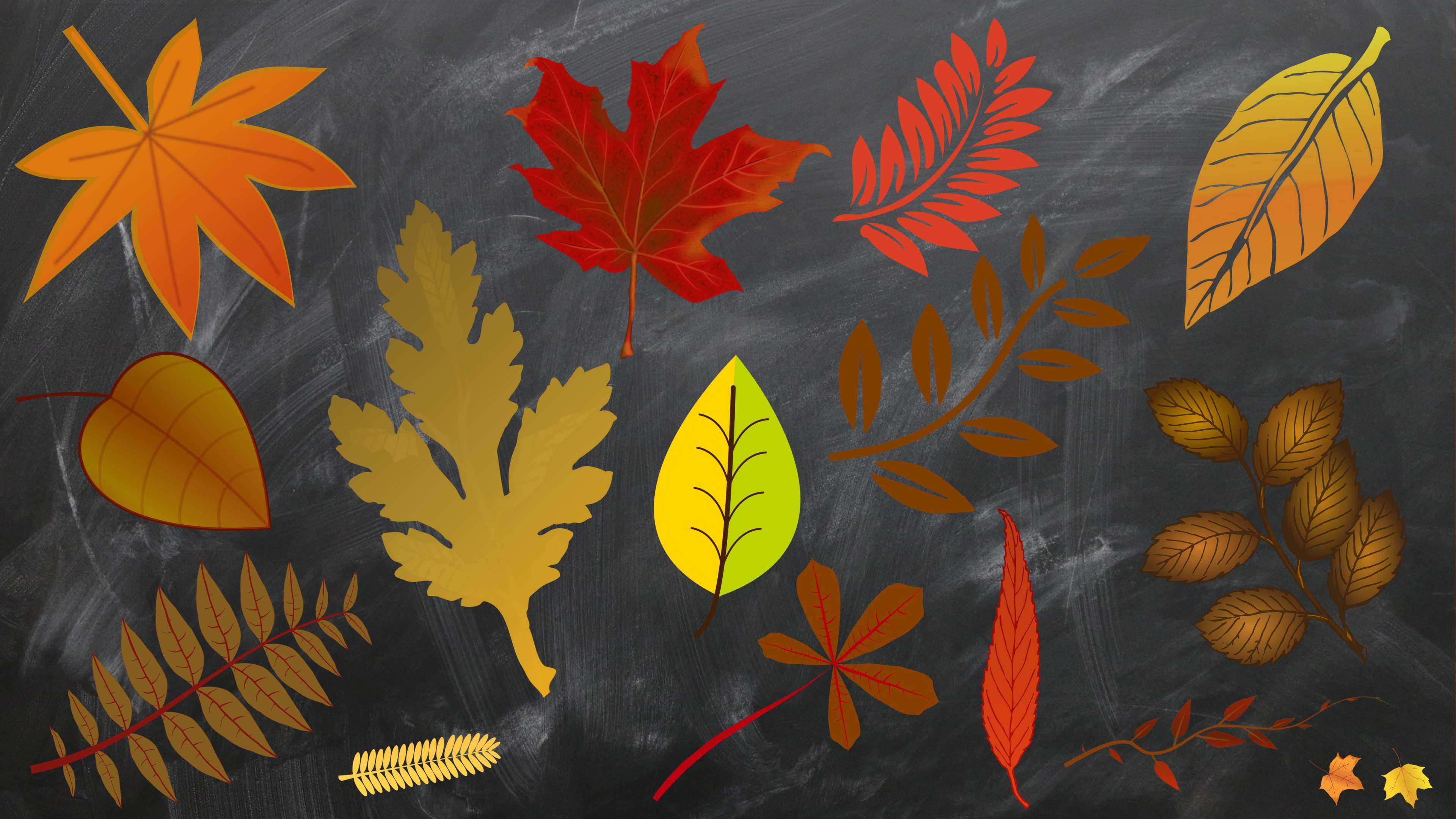 burlap, floral pattern, creativity, flower, multi colored, art and craft, golden autumn, desktop, chalkboard, flowering plant, no people, fall foliage, HD Wallpaper