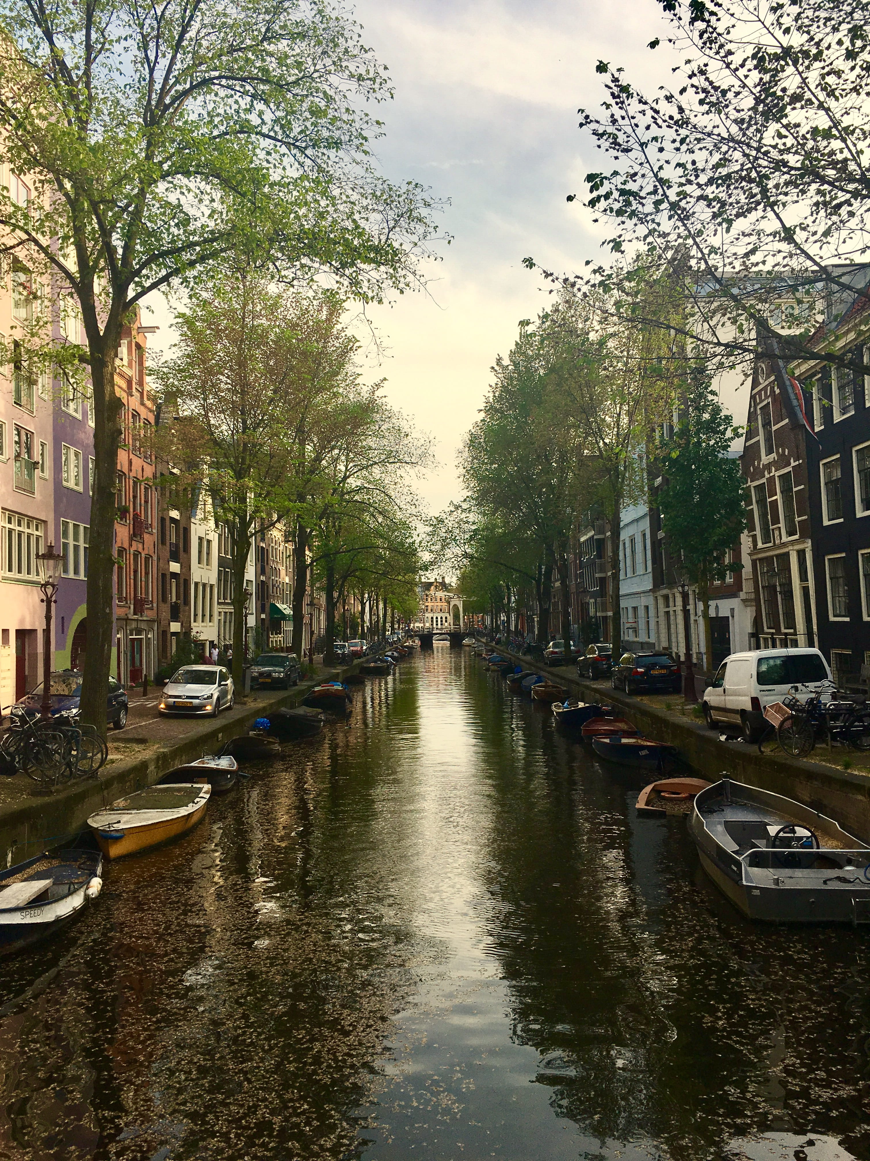 land vehicle, rain, transportation, built structure, plant, tree, autum, city, boats, incidental people, amsterdam, 4K, canal, building, sky, nature, treelined, Phone HD Wallpaper