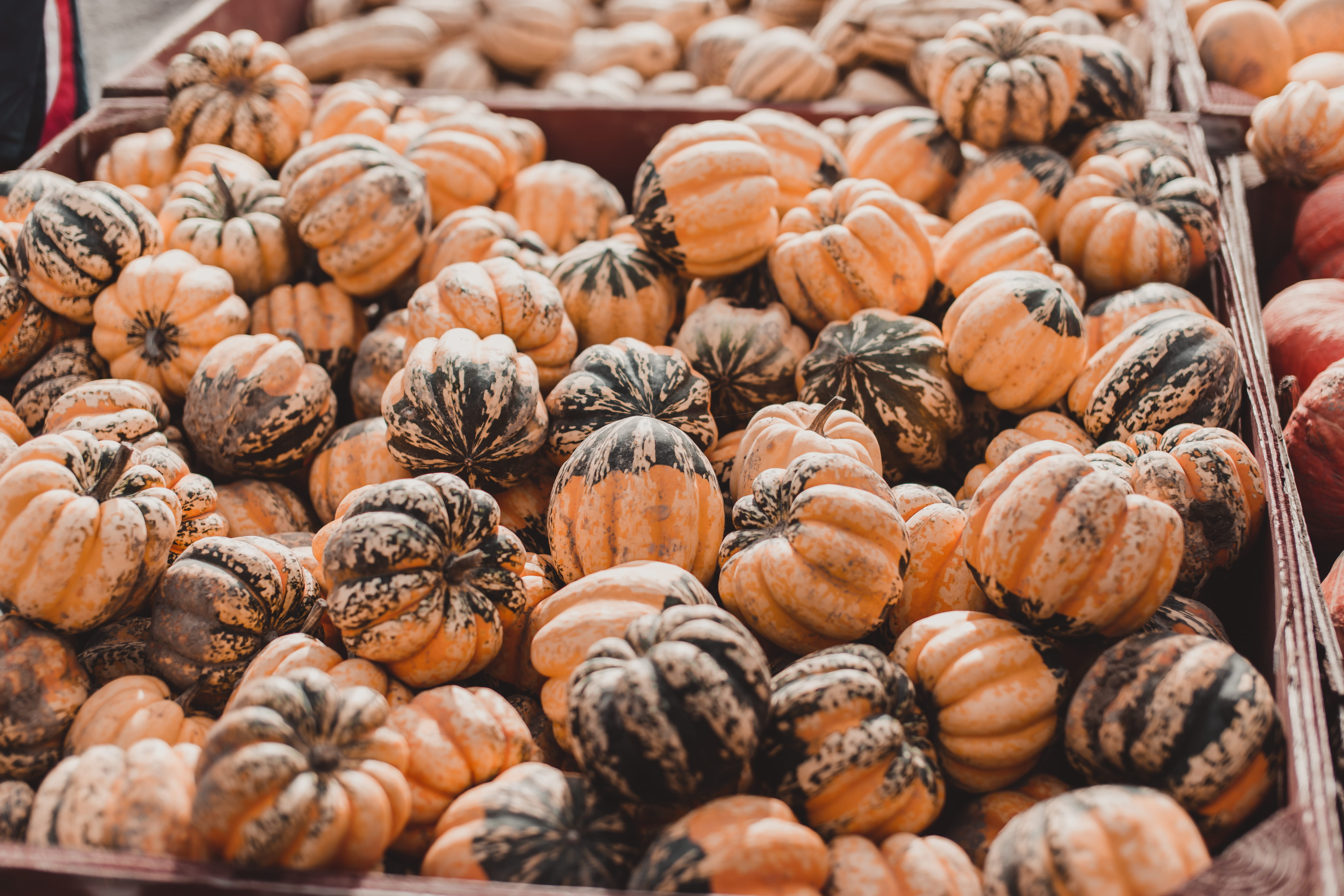 photo, healthy eating, food, 5K, freshness, business, focus, shallow, brown, nut - food, retail display, nut, pumpkin, wellbeing, vegetables, halloween, HD Wallpaper