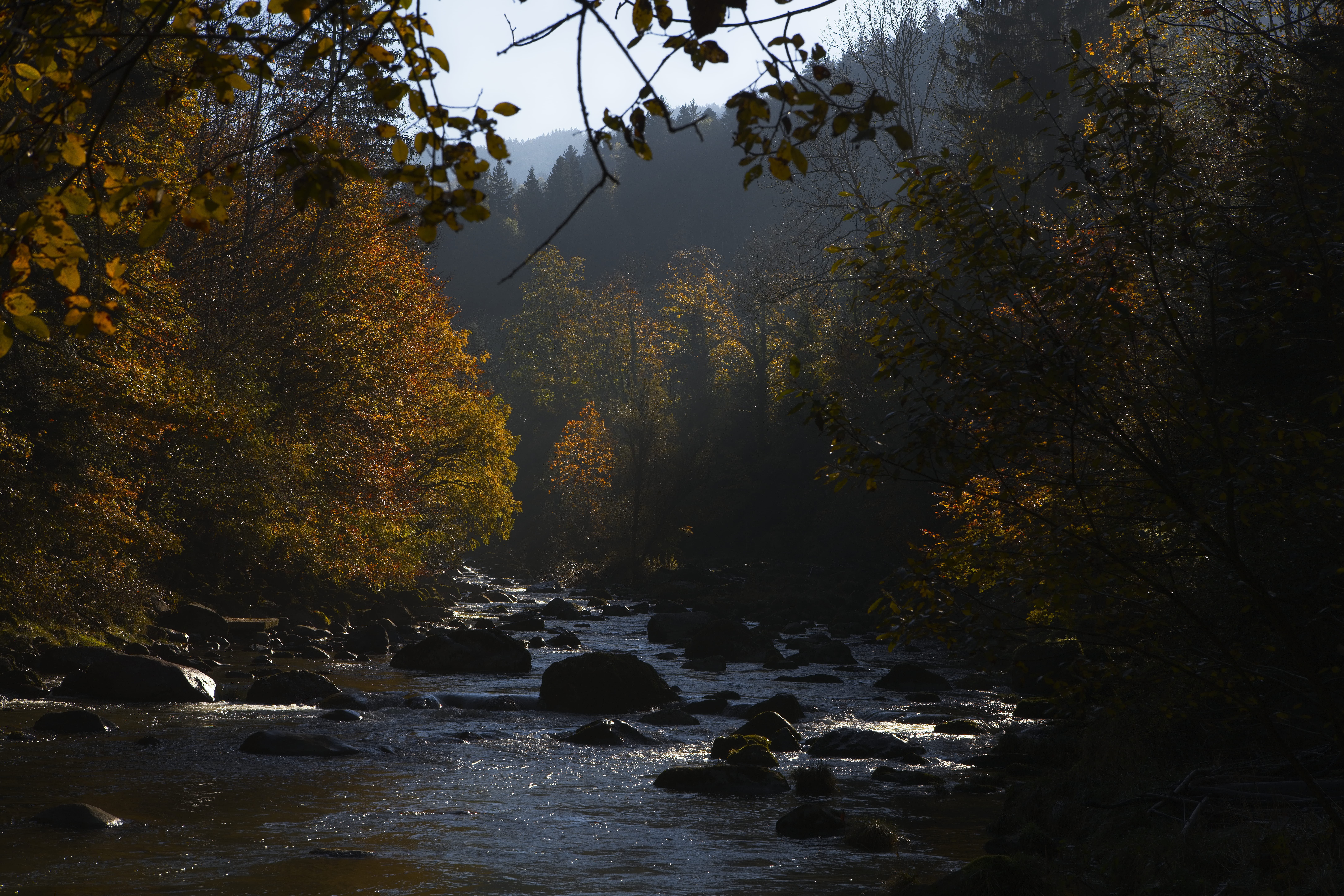 day, autum, rock, flowing, forest, sunrise, solid, sun, treecolor, outdoors, nature, autumn collection, river, land, plant, landscape, growth, color, reflection, HD Wallpaper