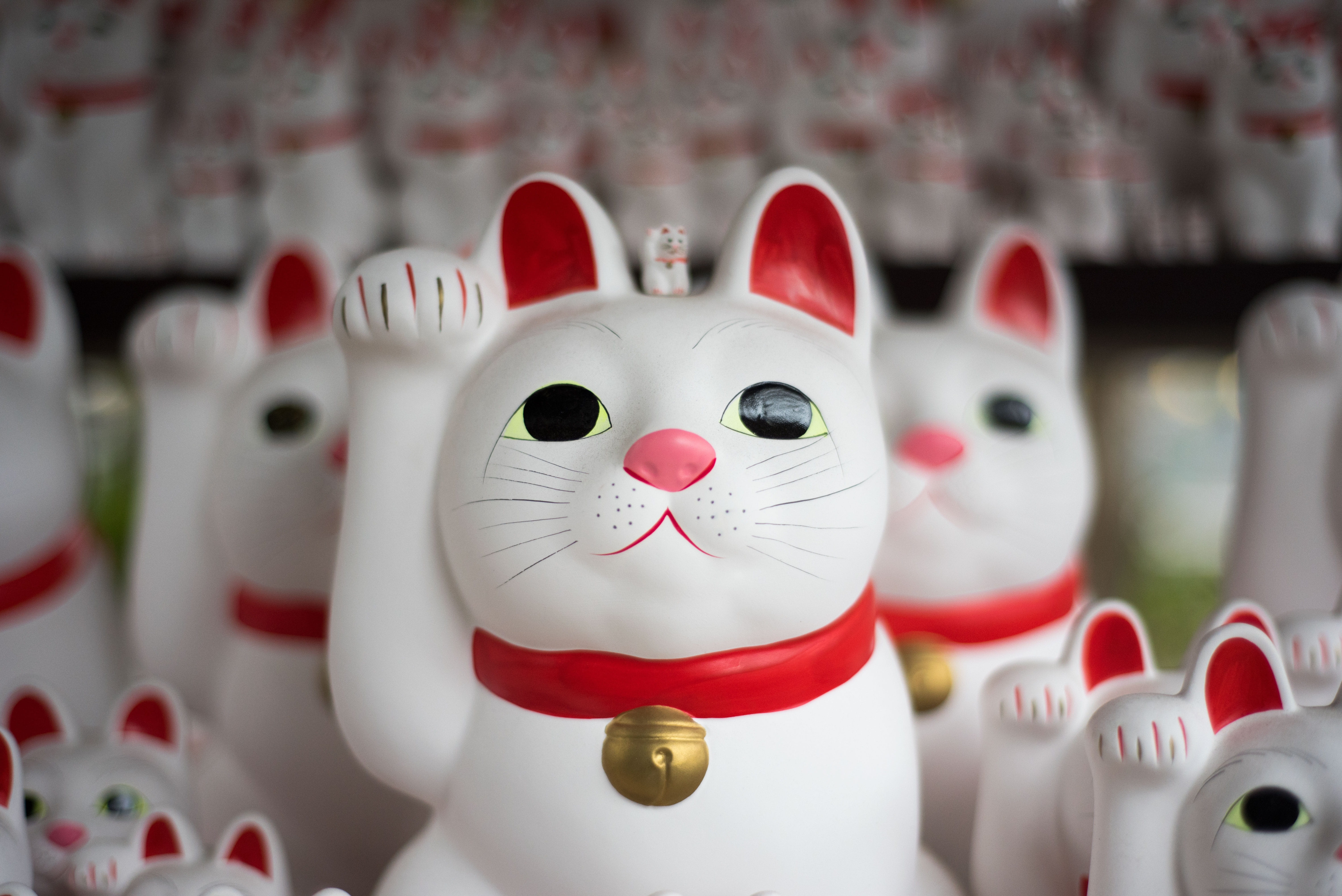 creativity, festival, japan, business, representation, mammal, art and craft, 5K, for sale, figurine, retail, large group of objects, display, red, animal representation, HD Wallpaper