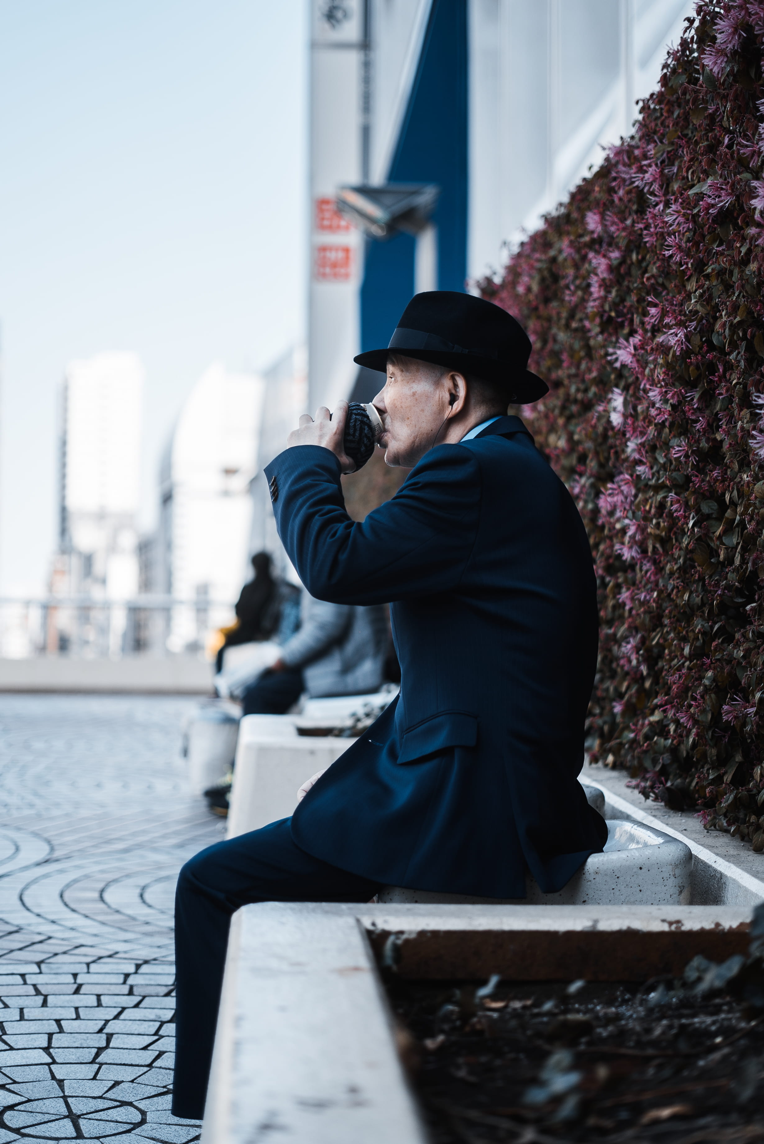 sat, looking, wall, floral, focus, adult, drinking cat, tokyo, moody, urban, flowers, outdoors, one person, shinjuku, hat, seat, males, old person, three quarter length, Phone HD Wallpaper
