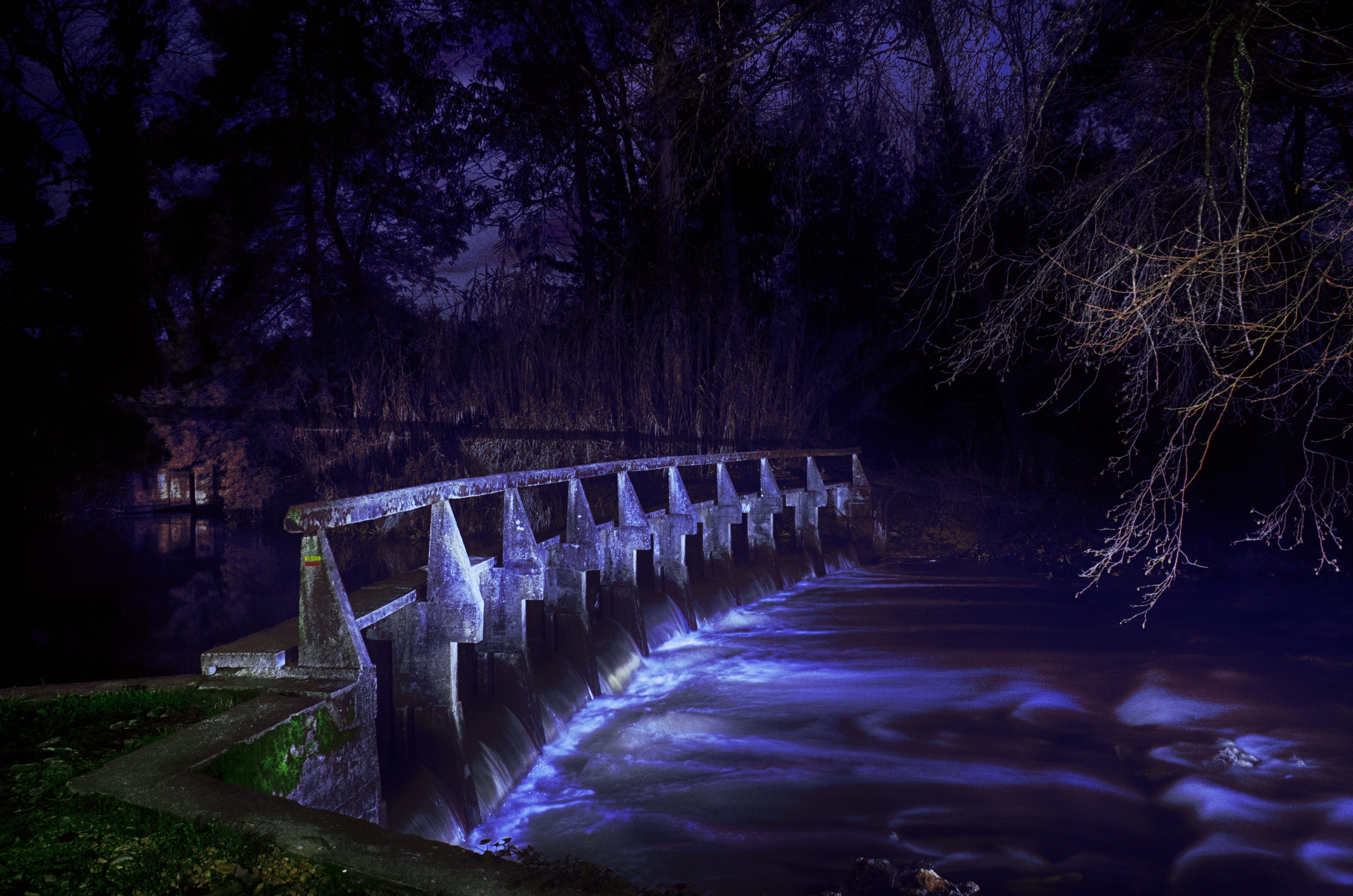 power in nature, night, landscape, tree, no people, plant, photography, nature, beauty in nature, forest, flowing, illuminated, motion, outdoors, flowing water, HD Wallpaper