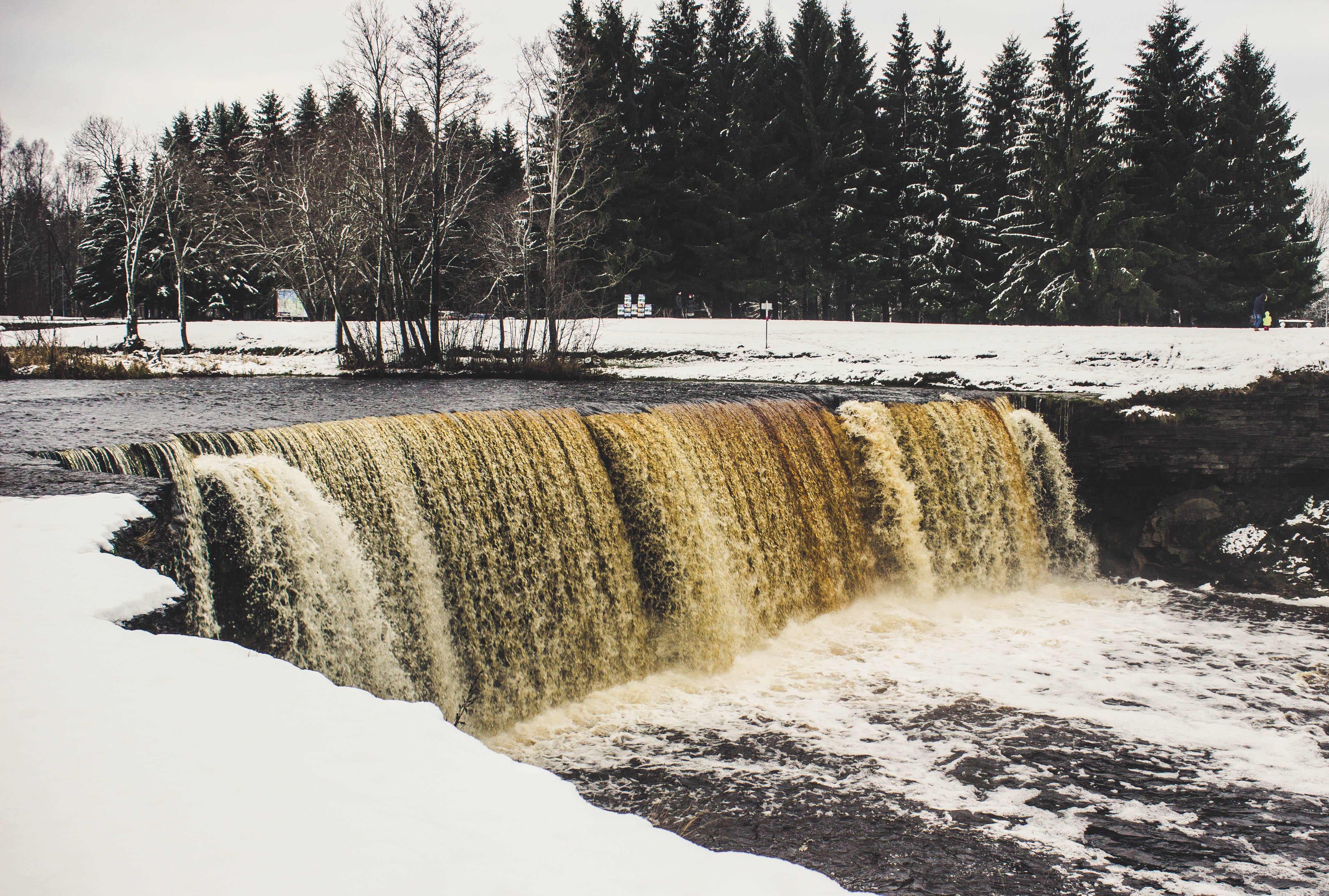 environment, flowing water, cold, hydroelectric power, weather, power in nature, frozen, frosty, snow, beauty in nature, rocks, waterfalls, tree, tranquil scene, HD Wallpaper