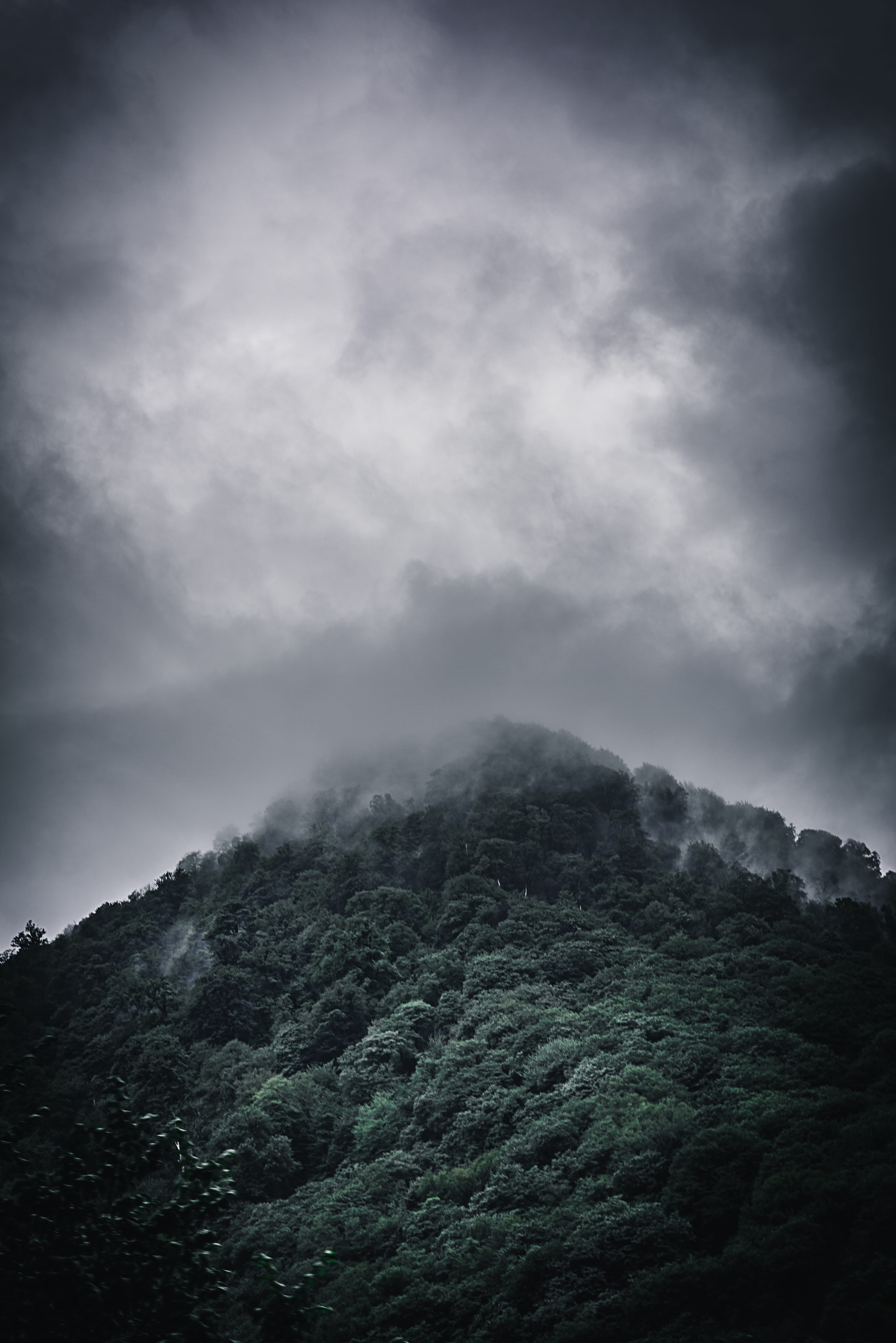power in nature, tranquil scene, scenics - nature, environment, landscape, mountain peak, mountain, non-urban scene, mountain range, fogs, tree, clouds, Phone HD Wallpaper