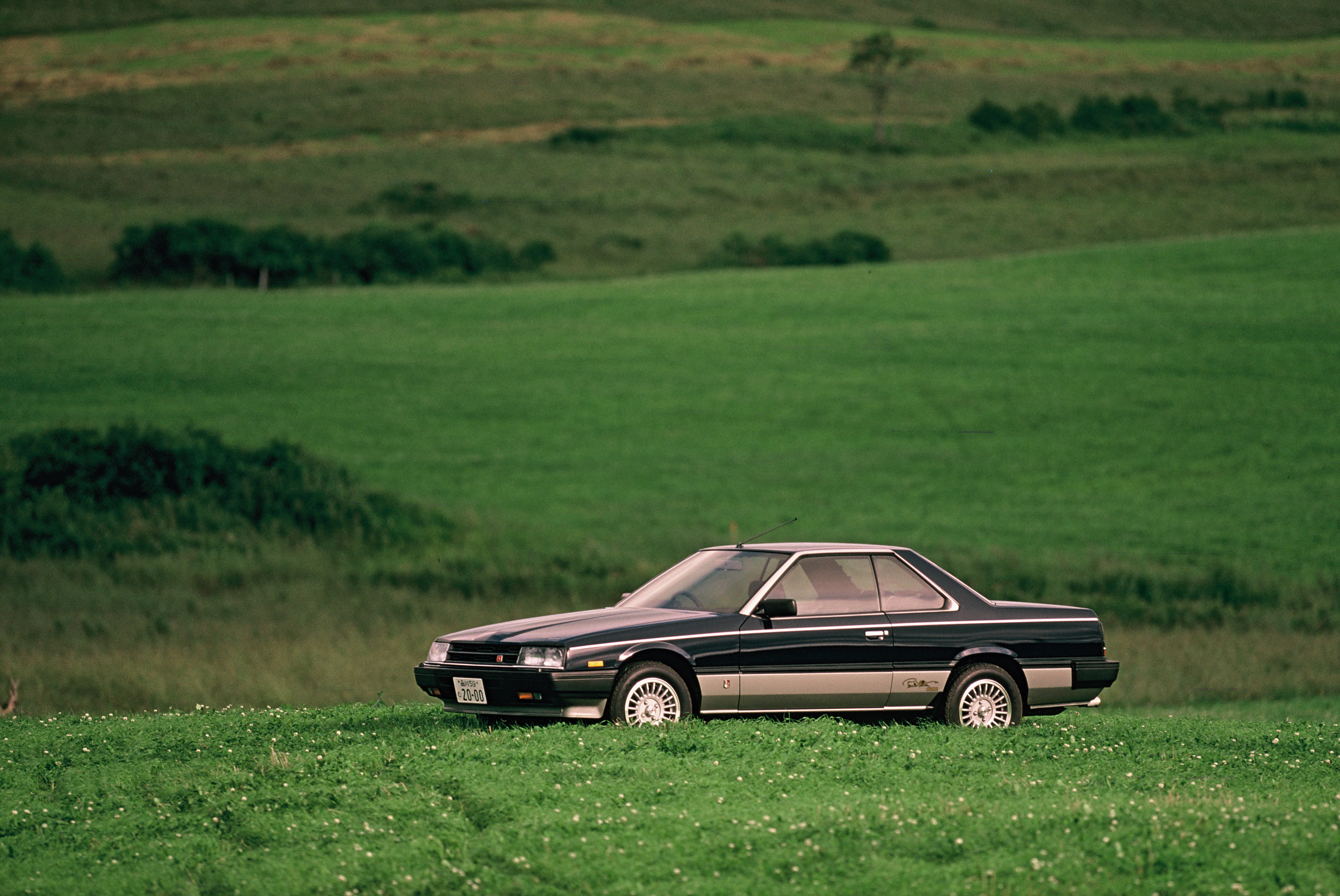 nissan, newman, 2000gt, (khr30jft), skyline, 2000gt-es, g-t, paul, 2K, 1983, HD Wallpaper